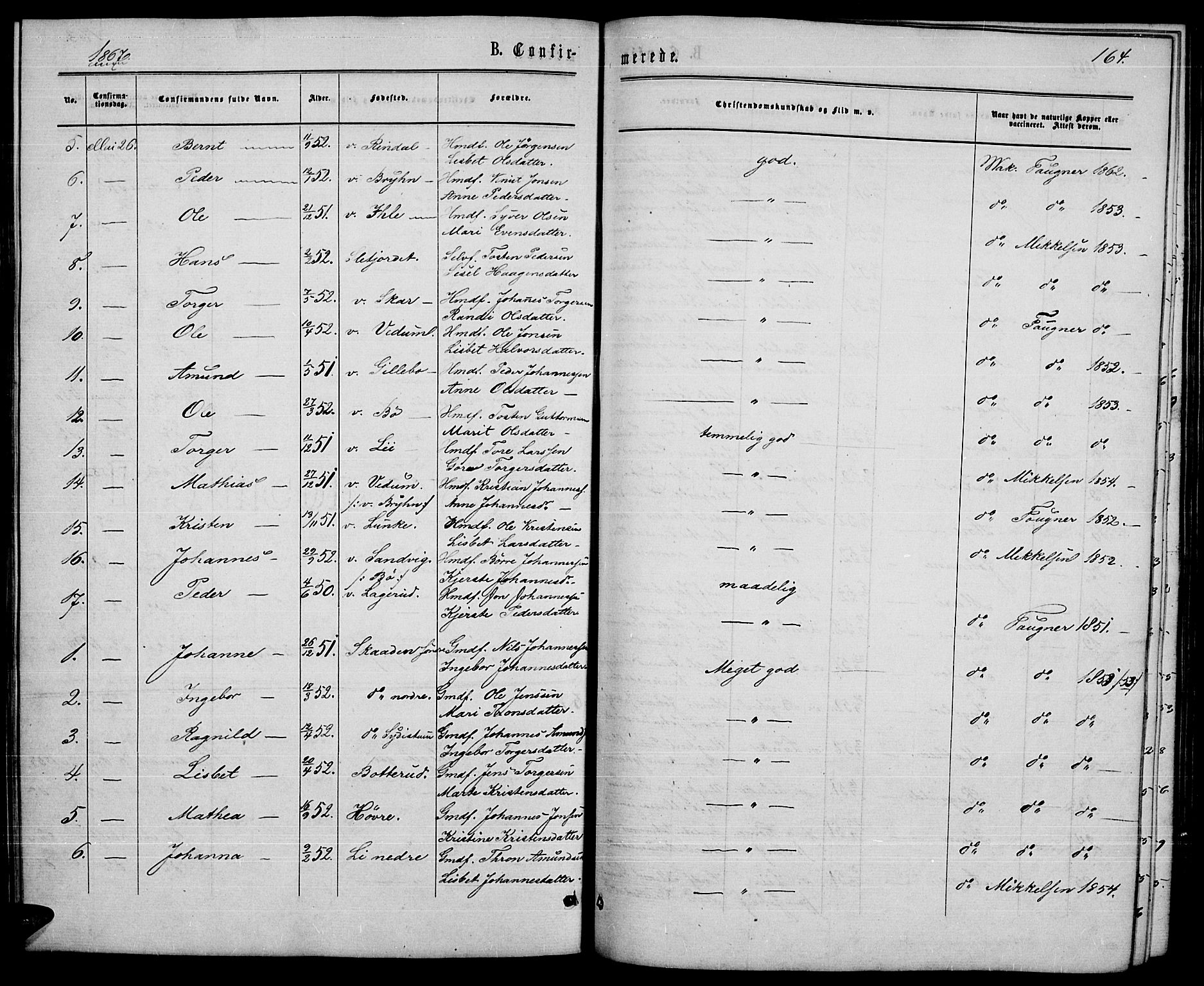 Øyer prestekontor, AV/SAH-PREST-084/H/Ha/Hab/L0001: Parish register (copy) no. 1, 1863-1877, p. 164