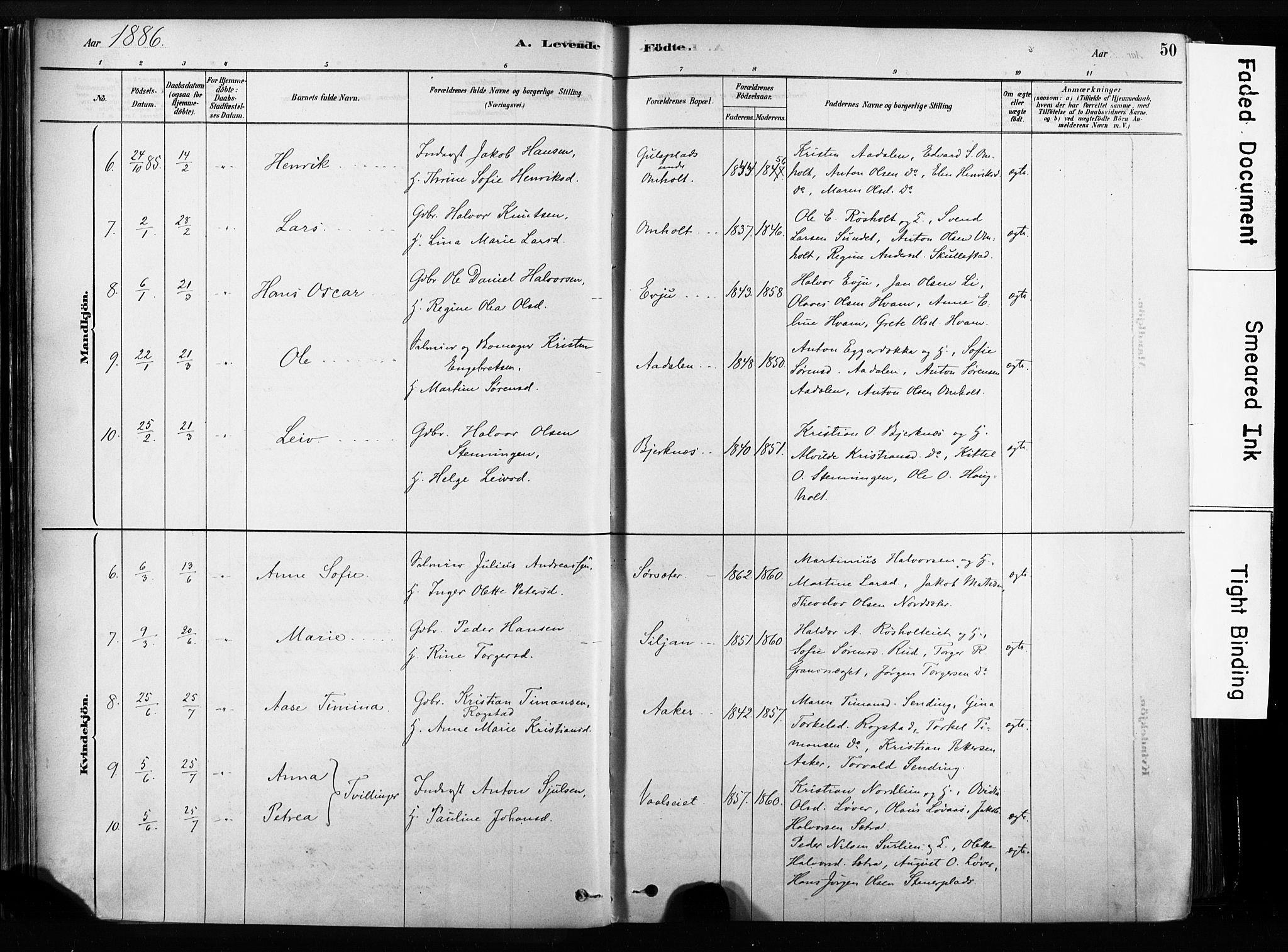 Sandsvær kirkebøker, SAKO/A-244/F/Fb/L0001: Parish register (official) no. II 1, 1878-1906, p. 50
