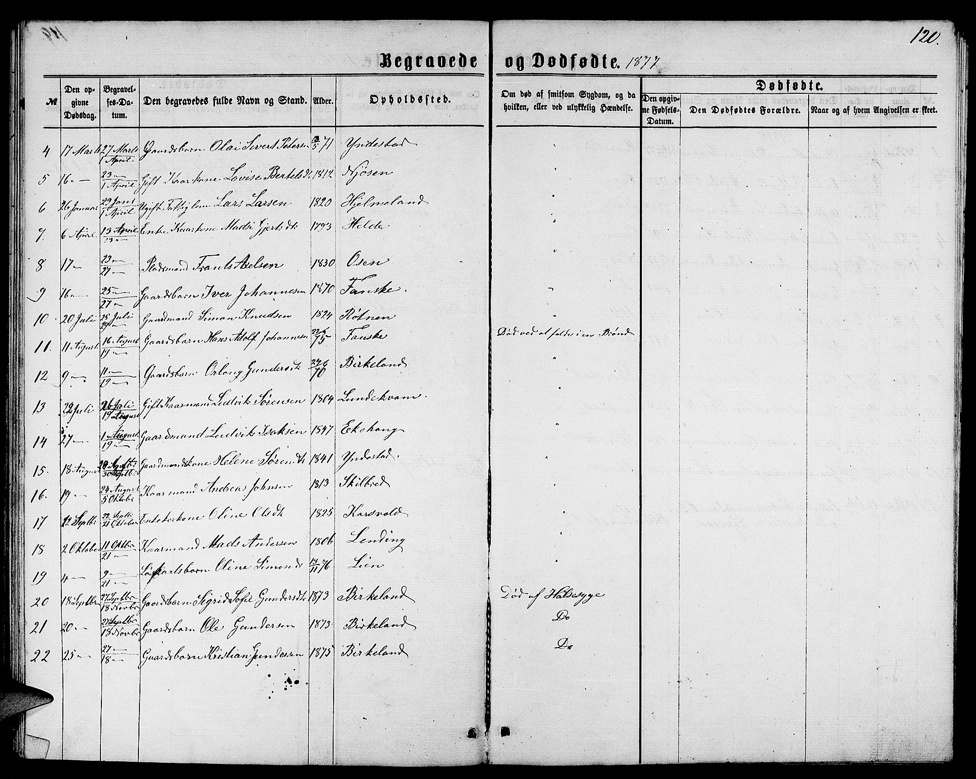 Gaular sokneprestembete, SAB/A-80001/H/Hab: Parish register (copy) no. B 2, 1863-1881, p. 120