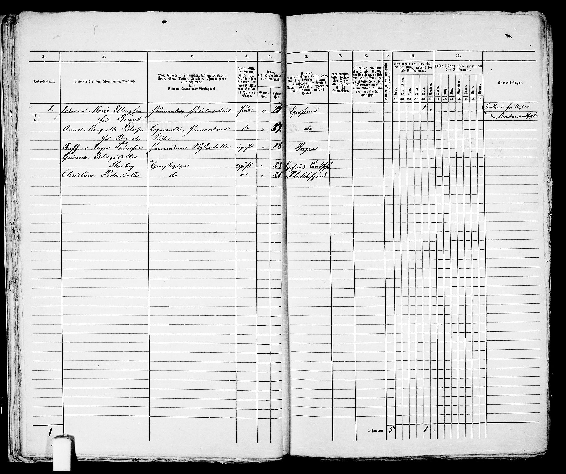 RA, 1865 census for Eigersund parish, Egersund town, 1865, p. 31