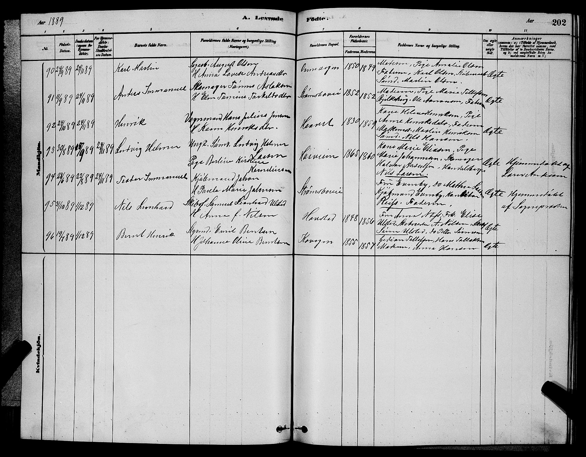 Barbu sokneprestkontor, AV/SAK-1111-0003/F/Fb/L0001: Parish register (copy) no. B 1, 1878-1890, p. 202