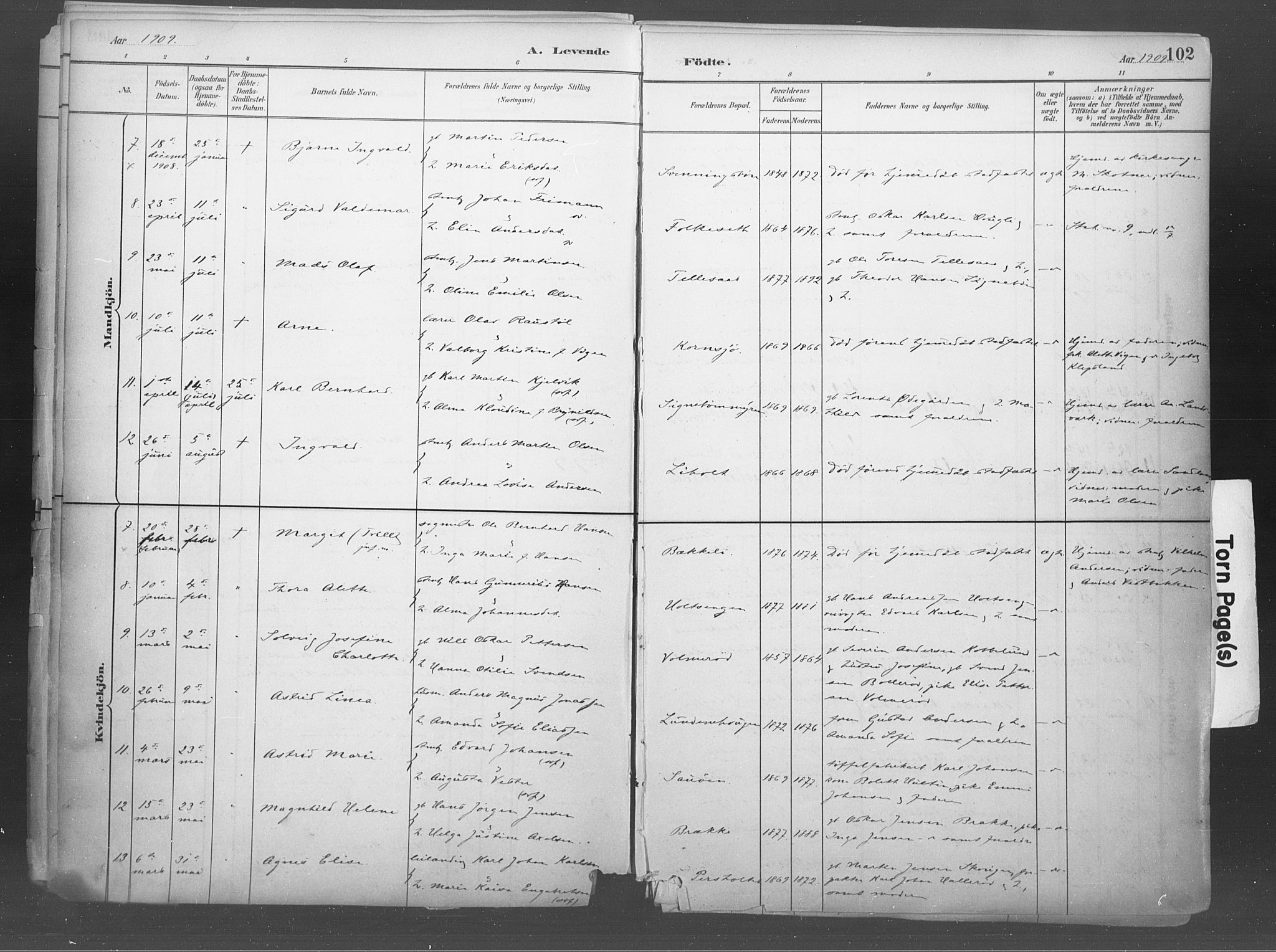 Idd prestekontor Kirkebøker, AV/SAO-A-10911/F/Fb/L0002: Parish register (official) no. II 2, 1882-1923, p. 102