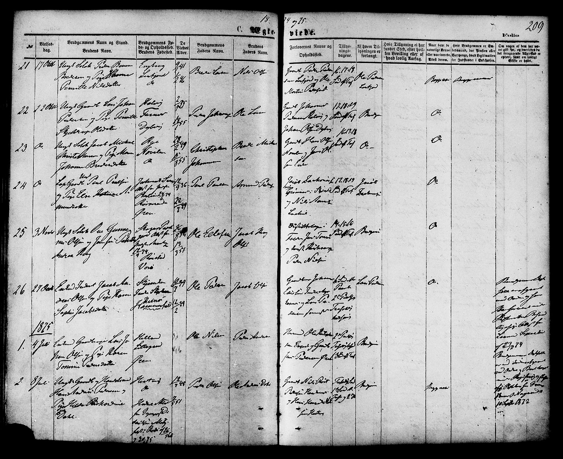 Ministerialprotokoller, klokkerbøker og fødselsregistre - Nordland, SAT/A-1459/853/L0771: Parish register (official) no. 853A10, 1870-1881, p. 209