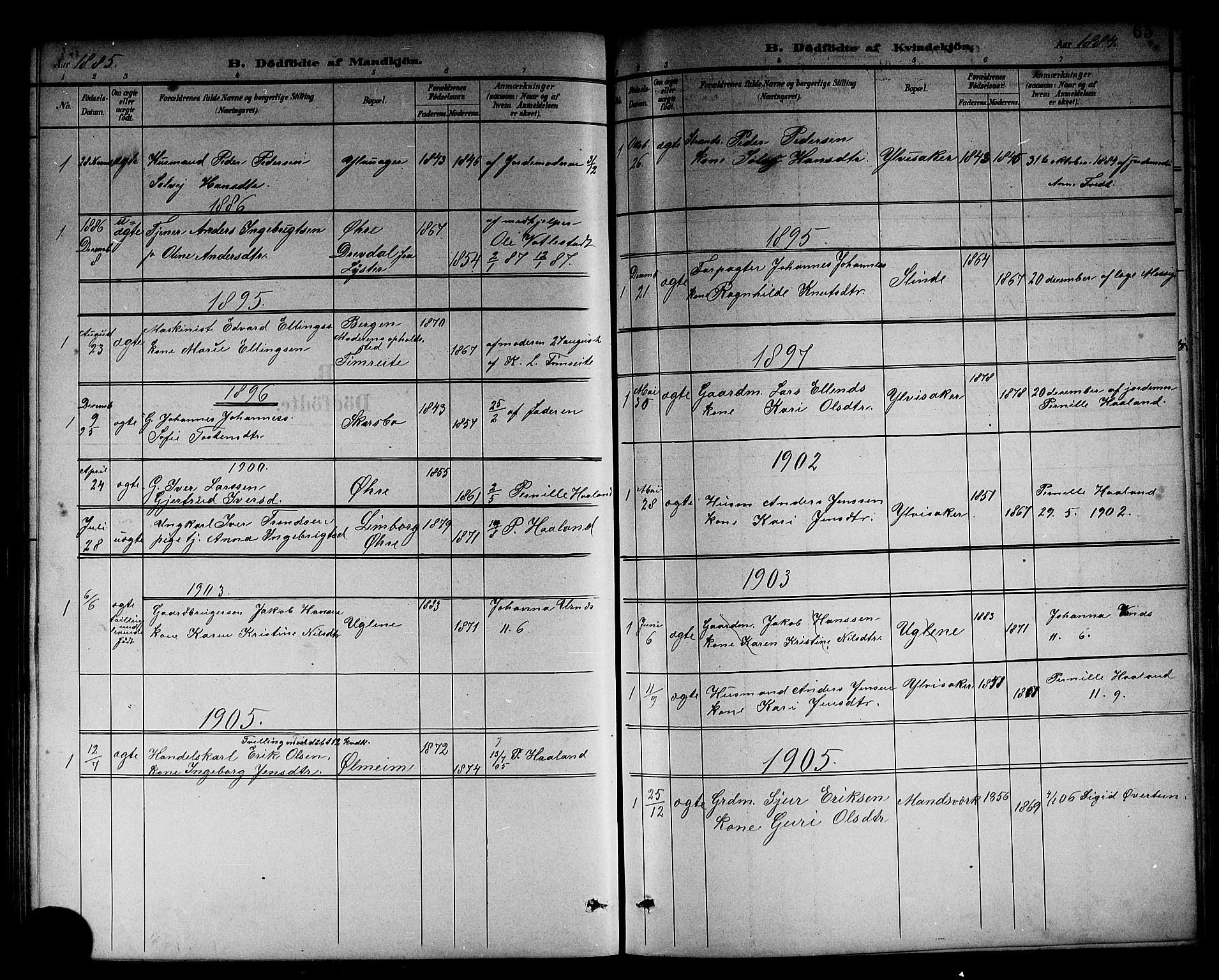 Sogndal sokneprestembete, SAB/A-81301/H/Hab/Habc/L0002: Parish register (copy) no. C 2, 1884-1910, p. 65