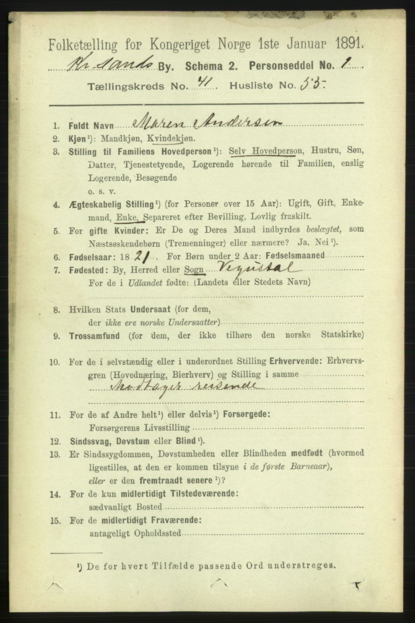 RA, 1891 census for 1001 Kristiansand, 1891, p. 13067