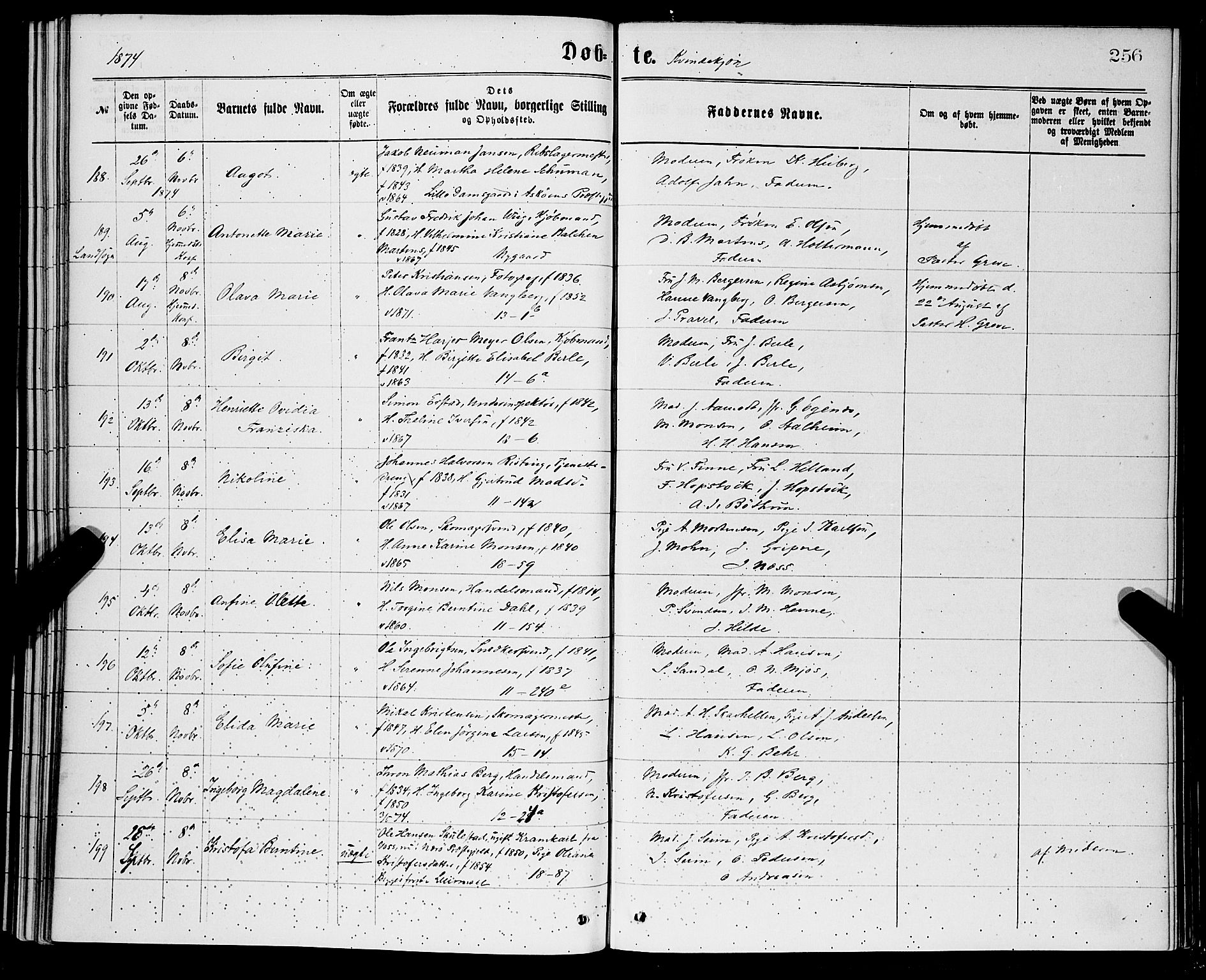 Domkirken sokneprestembete, SAB/A-74801/H/Hab/L0013: Parish register (copy) no. B 6, 1869-1876, p. 256