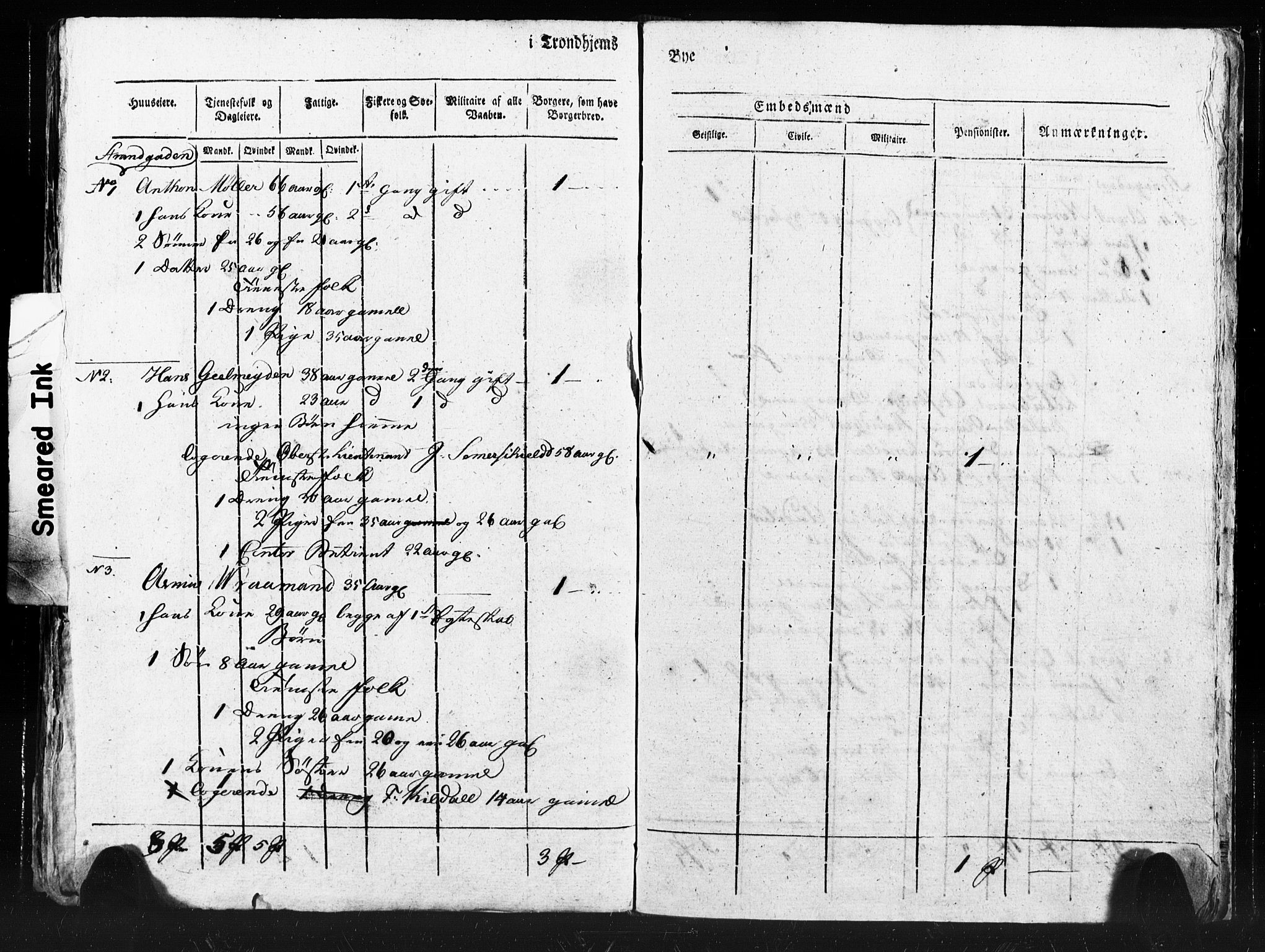 SAT, Census 1815 for Trondheim (transcript), 1815, p. 160