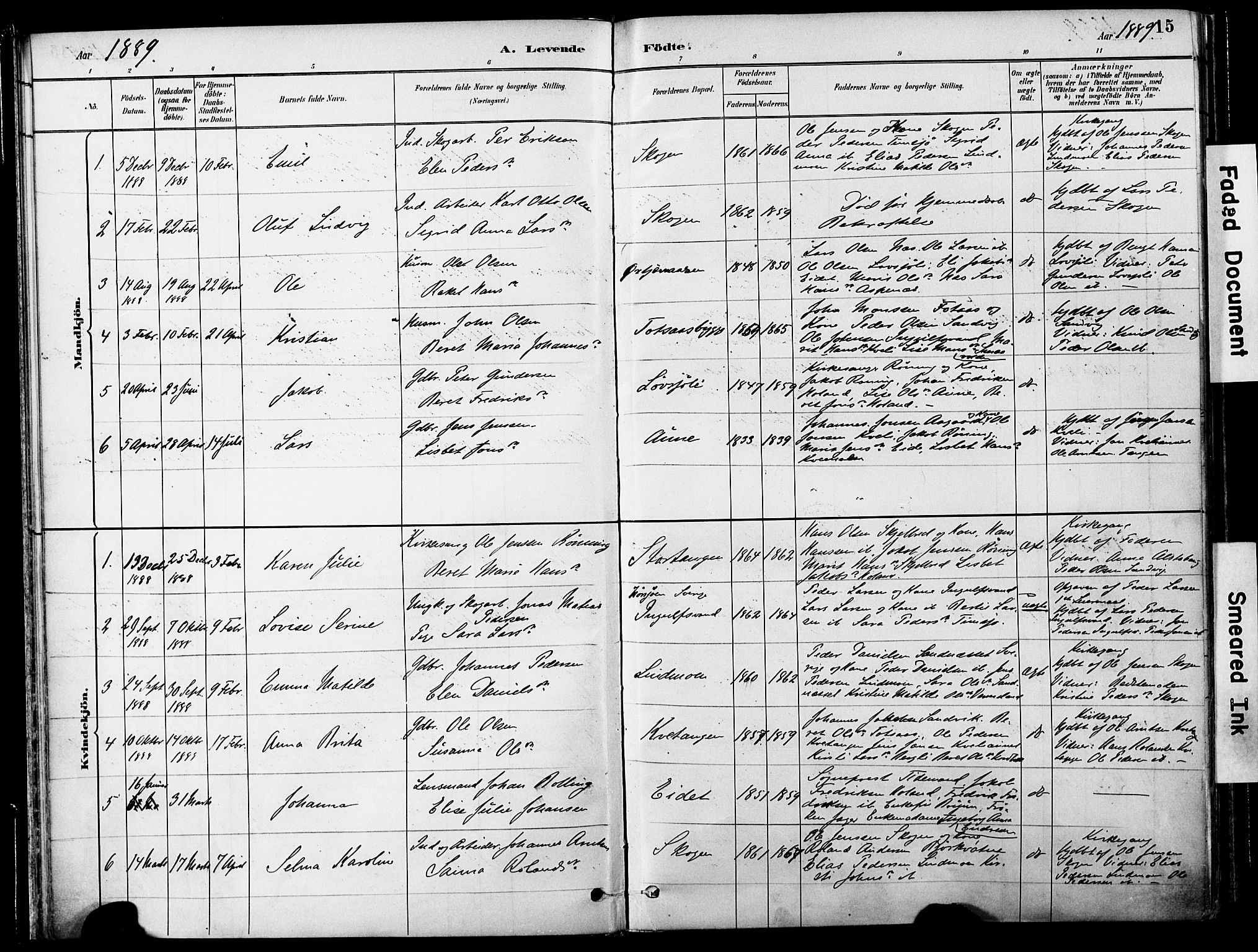 Ministerialprotokoller, klokkerbøker og fødselsregistre - Nord-Trøndelag, SAT/A-1458/755/L0494: Parish register (official) no. 755A03, 1882-1902, p. 15