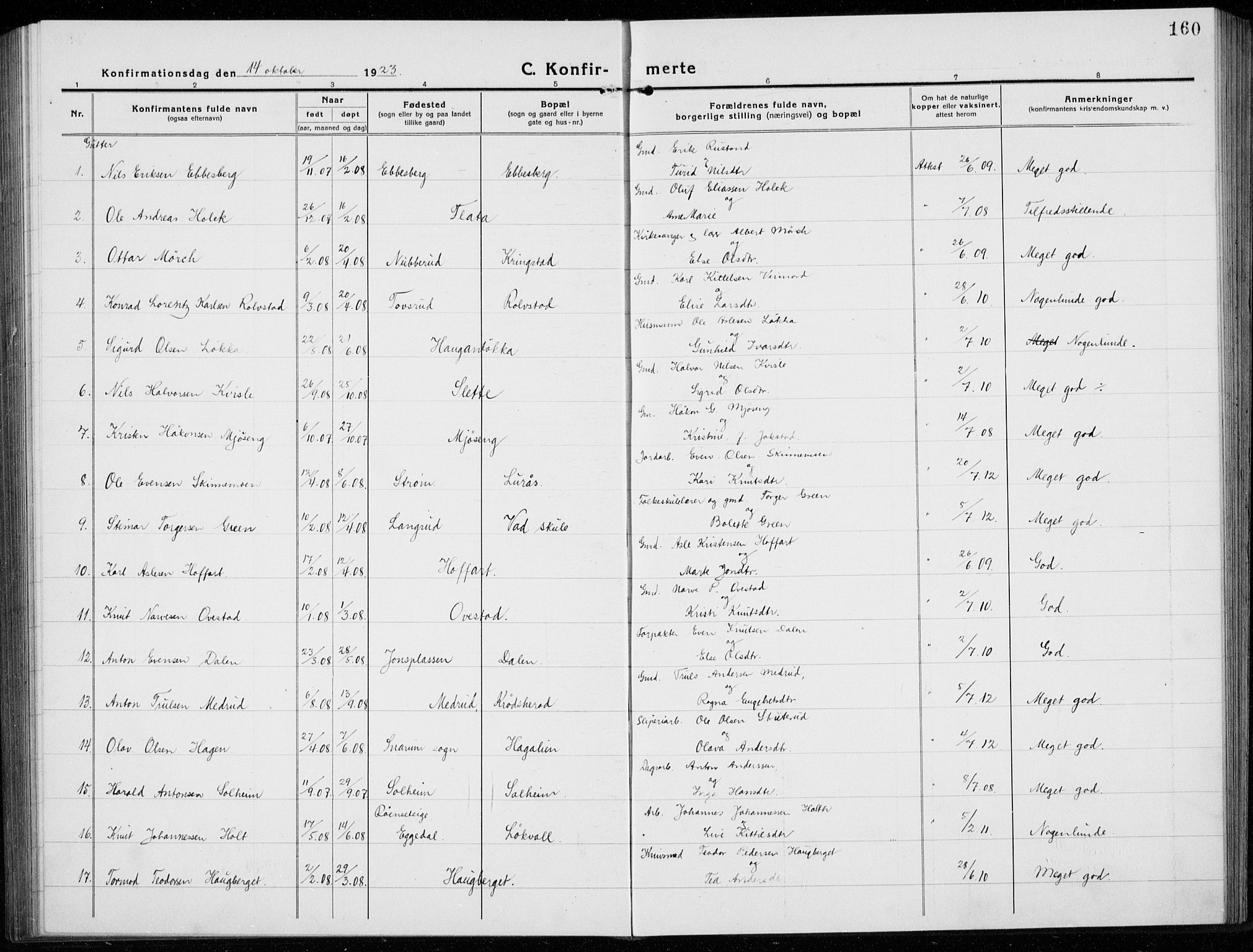 Sigdal kirkebøker, SAKO/A-245/G/Ga/L0007: Parish register (copy) no. I 7, 1917-1935, p. 160