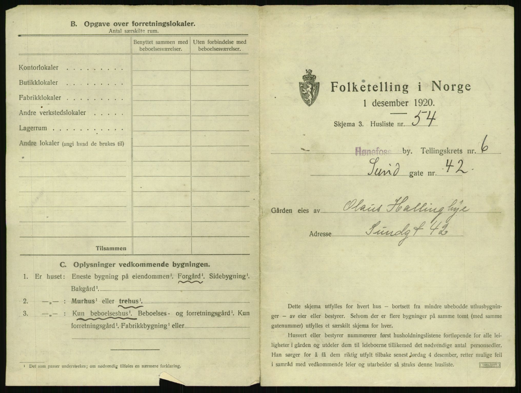 SAKO, 1920 census for Hønefoss, 1920, p. 676