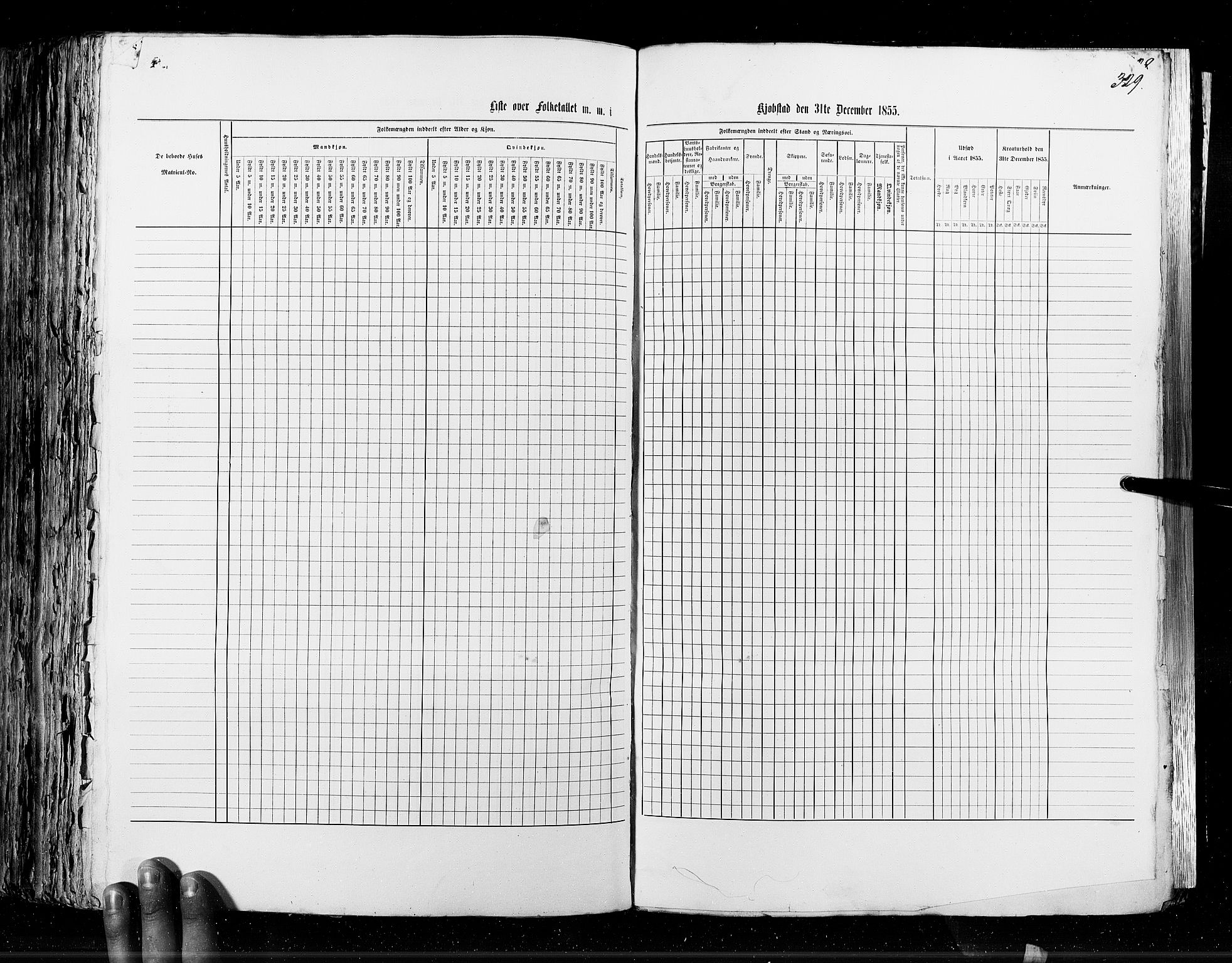 RA, Census 1855, vol. 7: Fredrikshald-Kragerø, 1855, p. 329