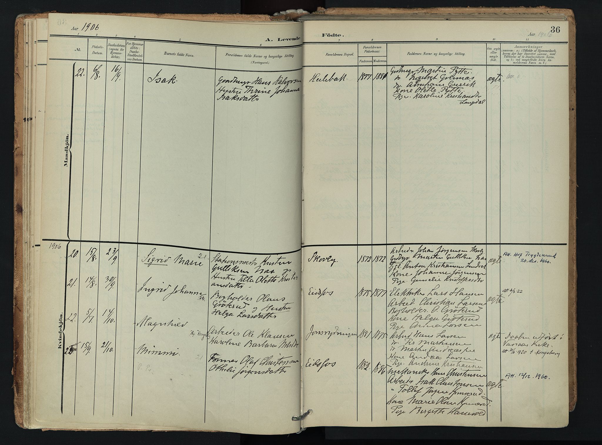 Hof kirkebøker, AV/SAKO-A-64/F/Fa/L0008: Parish register (official) no. I 8, 1902-1921, p. 36