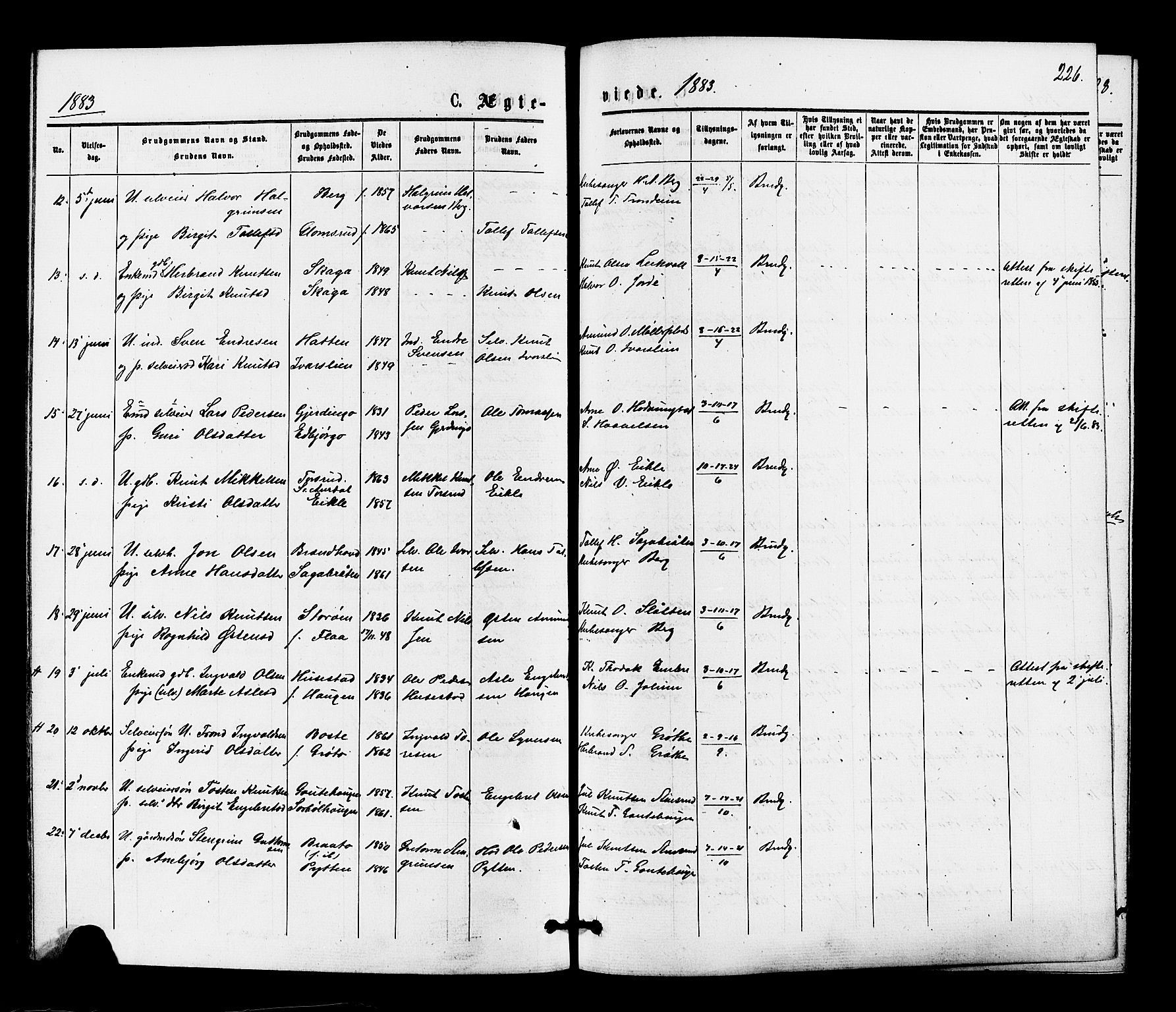 Gol kirkebøker, SAKO/A-226/F/Fa/L0004: Parish register (official) no. I 4, 1876-1886, p. 226