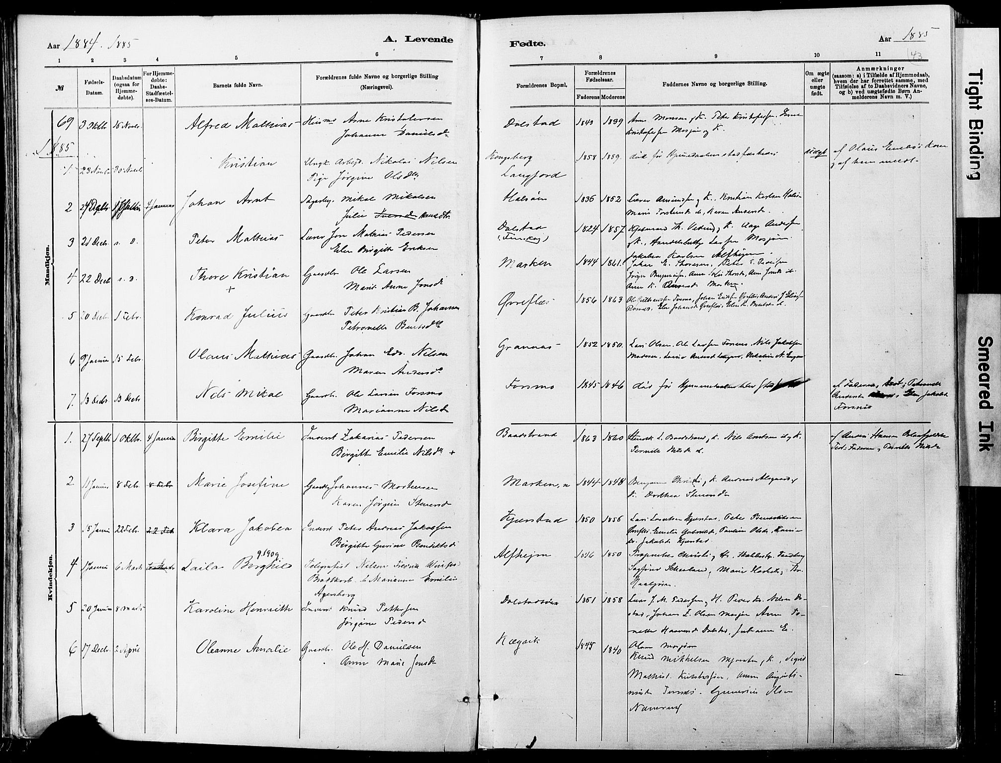 Ministerialprotokoller, klokkerbøker og fødselsregistre - Nordland, SAT/A-1459/820/L0295: Parish register (official) no. 820A16, 1880-1896, p. 43