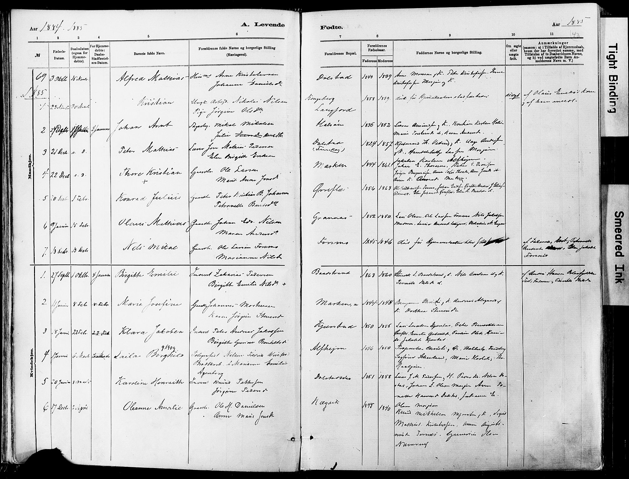 Ministerialprotokoller, klokkerbøker og fødselsregistre - Nordland, AV/SAT-A-1459/820/L0295: Parish register (official) no. 820A16, 1880-1896, p. 43