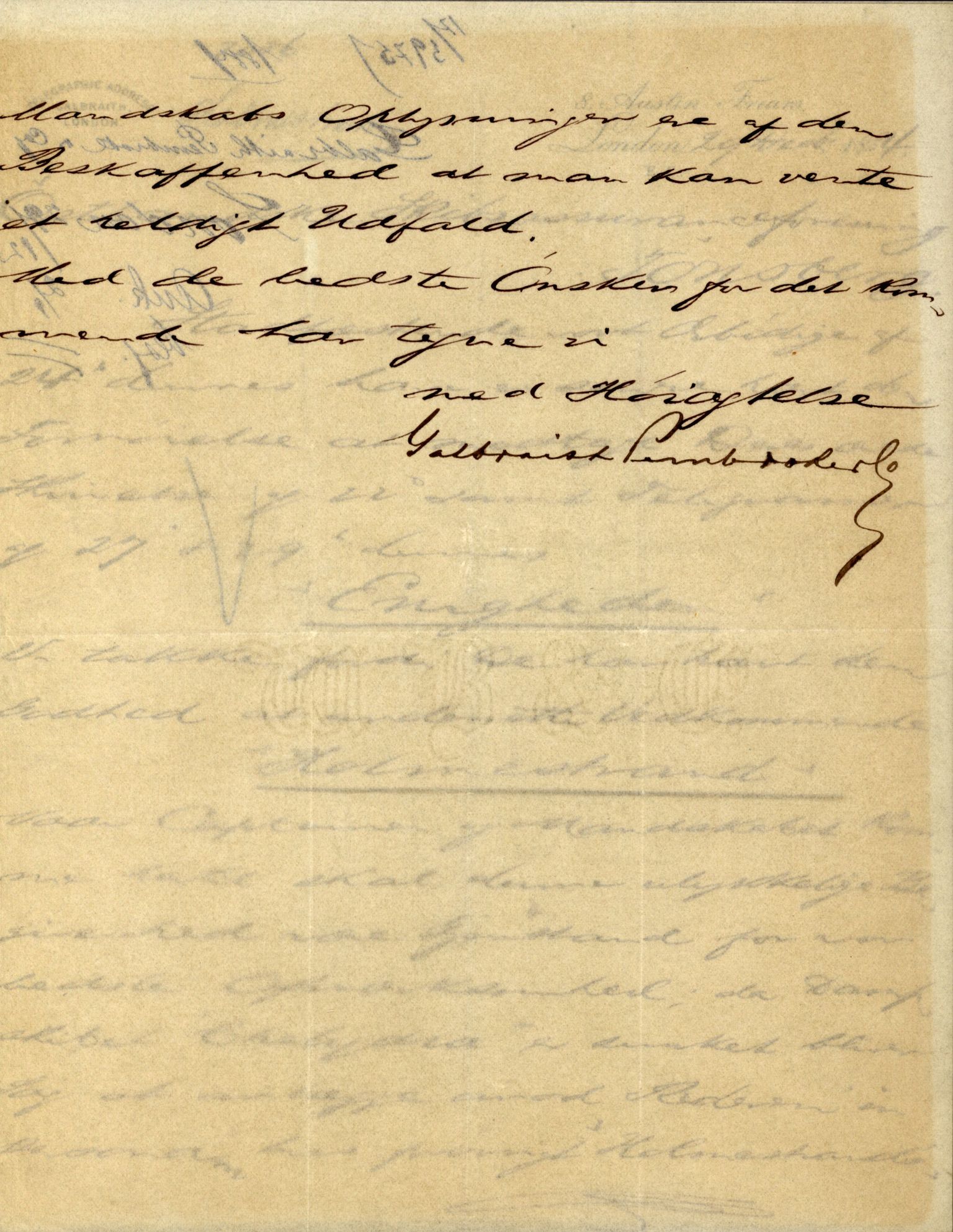 Pa 63 - Østlandske skibsassuranceforening, VEMU/A-1079/G/Ga/L0017/0013: Havaridokumenter / Diaz, Holmestrand, Kalliope, Olaf Trygvason, Norafjeld, 1884, p. 23