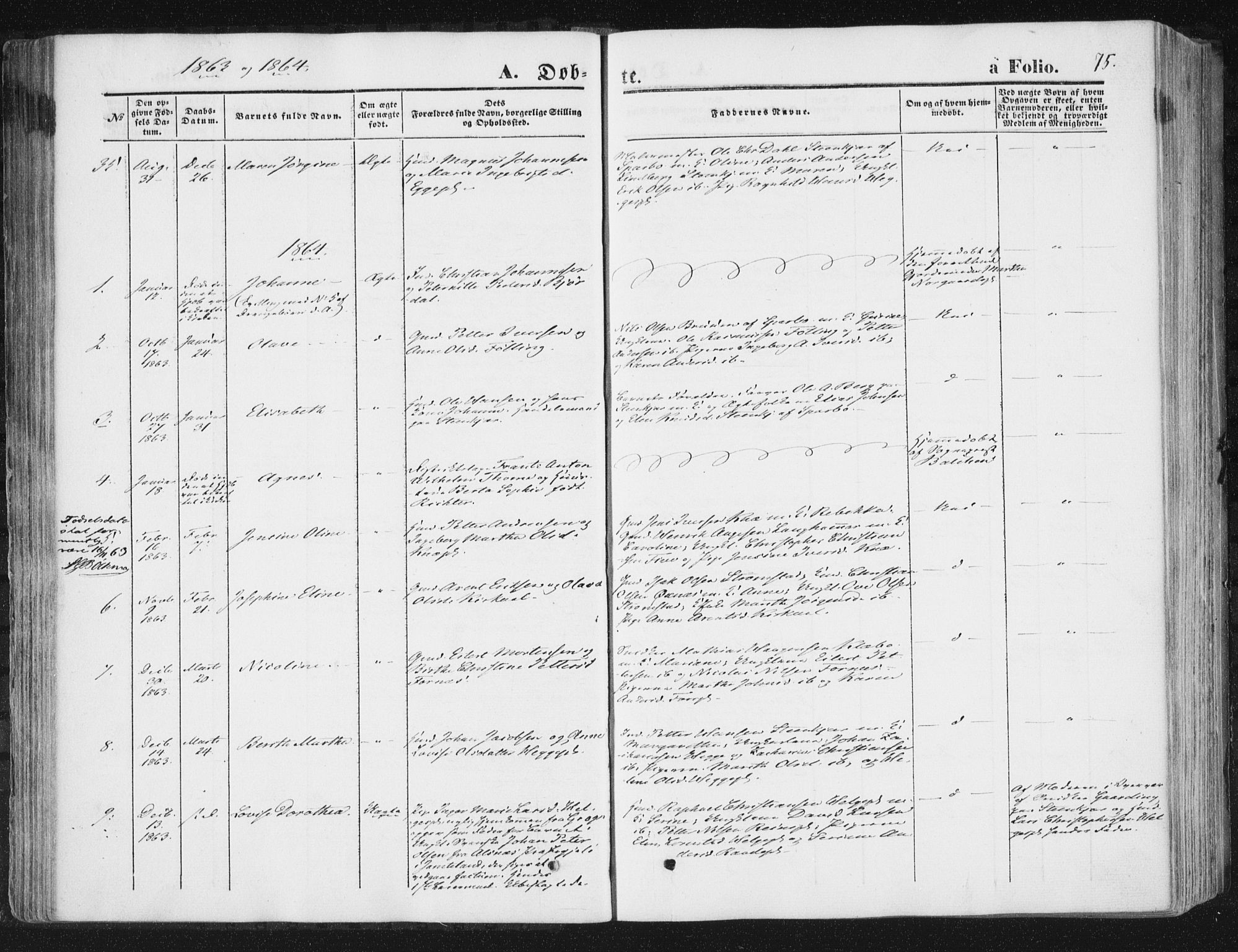 Ministerialprotokoller, klokkerbøker og fødselsregistre - Nord-Trøndelag, SAT/A-1458/746/L0447: Parish register (official) no. 746A06, 1860-1877, p. 75