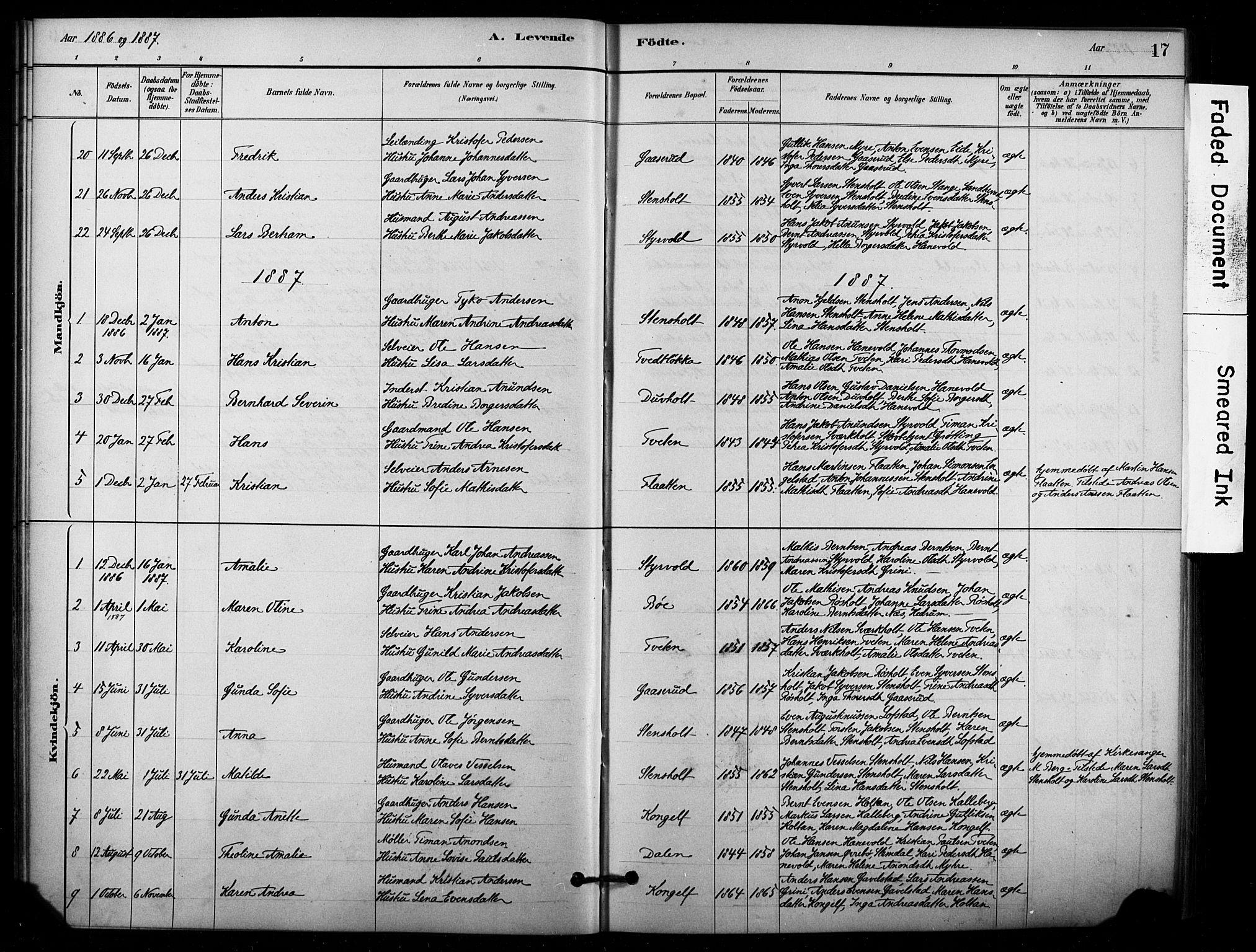 Lardal kirkebøker, AV/SAKO-A-350/F/Fd/L0001: Parish register (official) no. IV 1, 1881-1907, p. 17