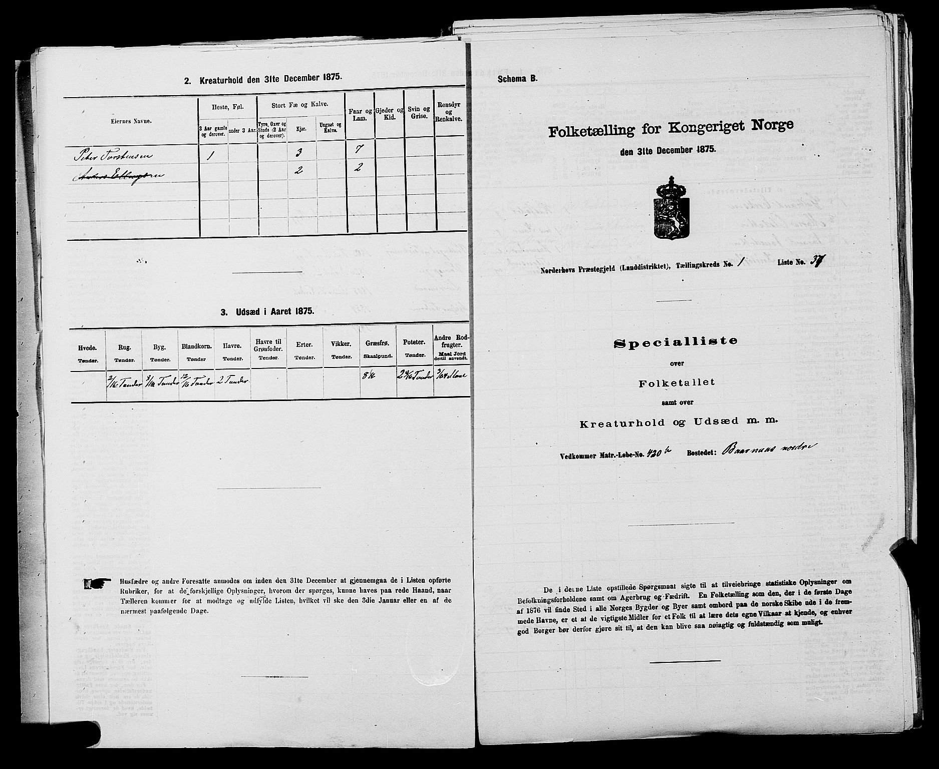 SAKO, 1875 census for 0613L Norderhov/Norderhov, Haug og Lunder, 1875, p. 2255