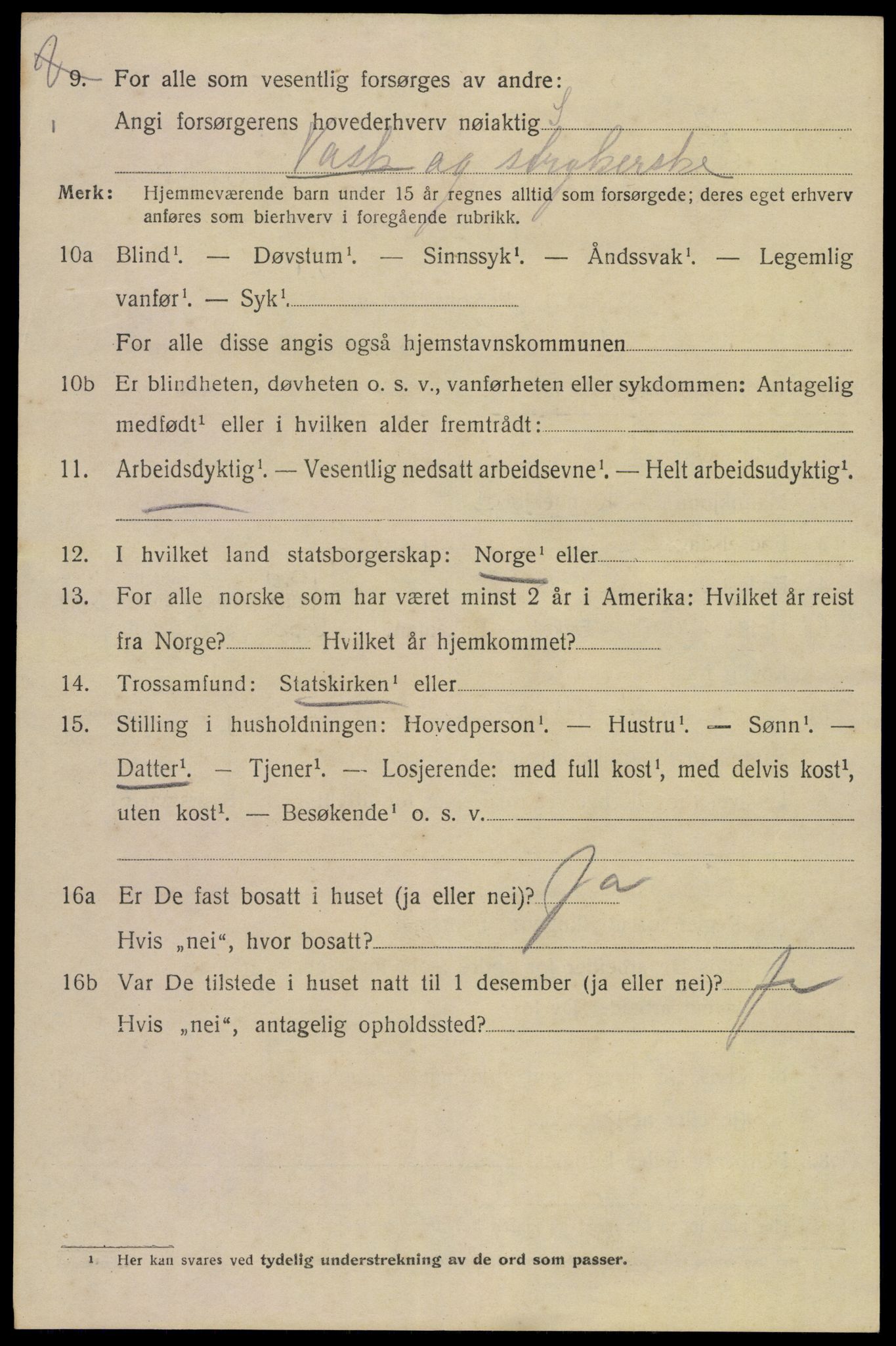 SAKO, 1920 census for Tinn, 1920, p. 8831