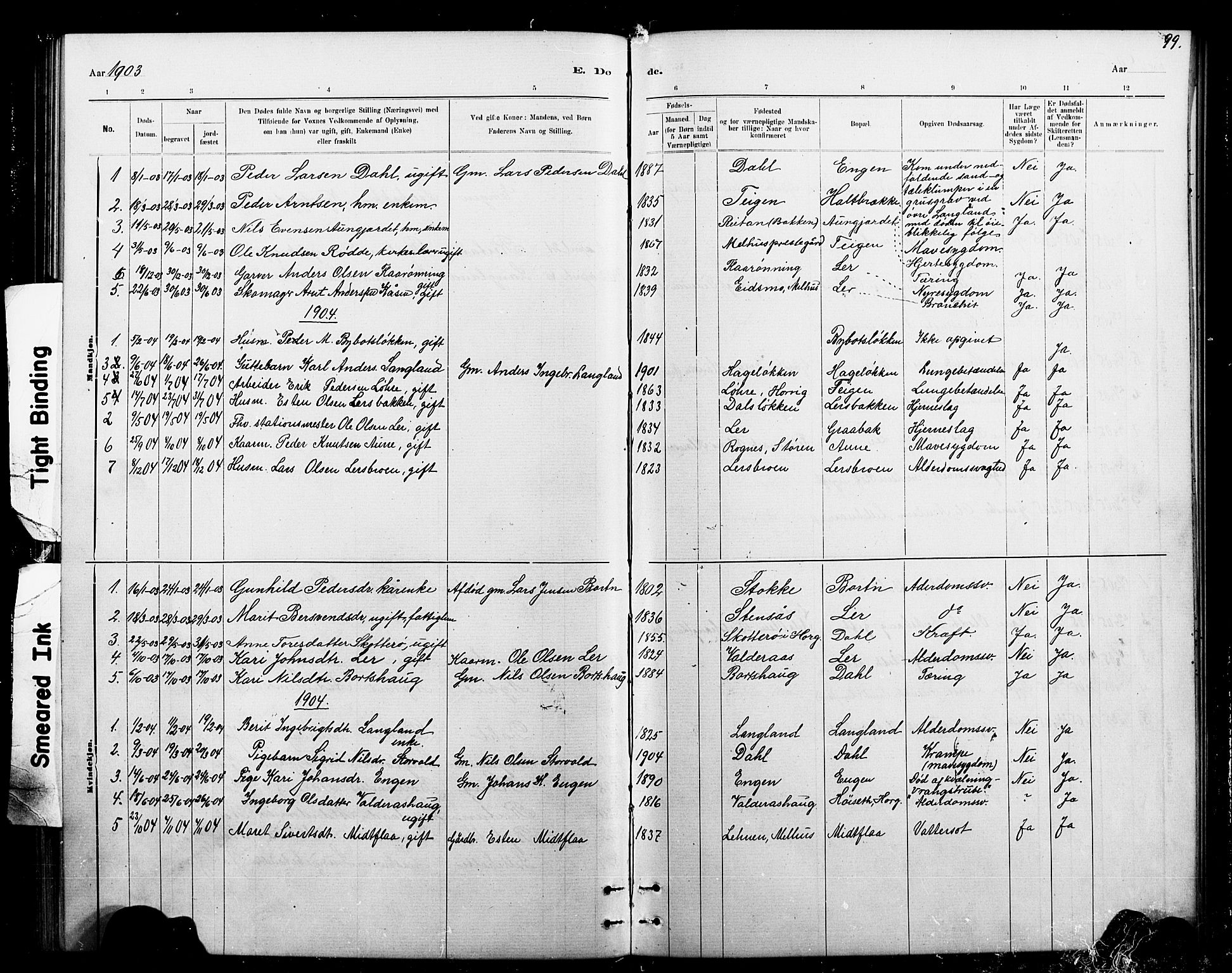 Ministerialprotokoller, klokkerbøker og fødselsregistre - Sør-Trøndelag, AV/SAT-A-1456/693/L1123: Parish register (copy) no. 693C04, 1887-1910, p. 99