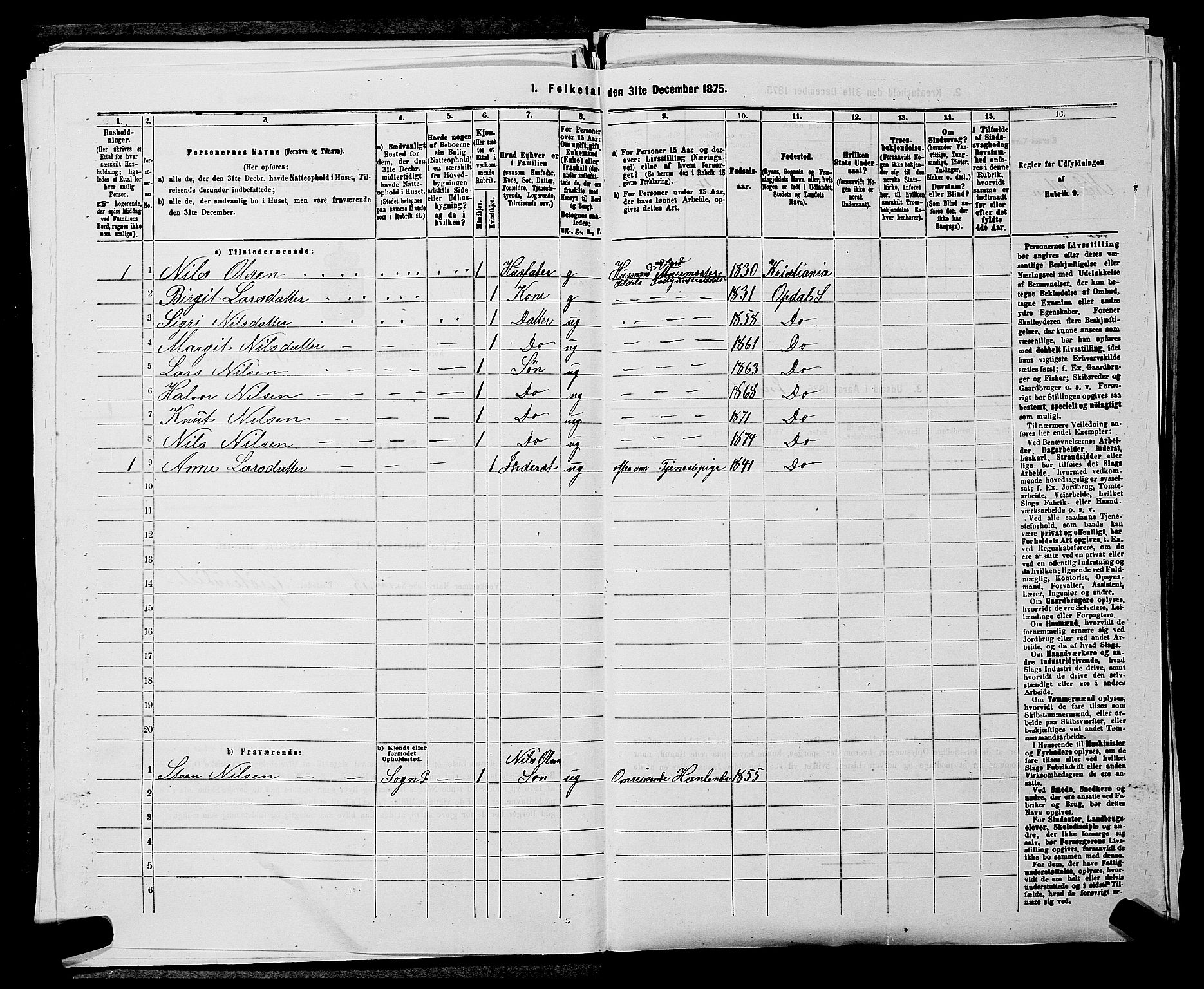 SAKO, 1875 census for 0633P Nore, 1875, p. 367