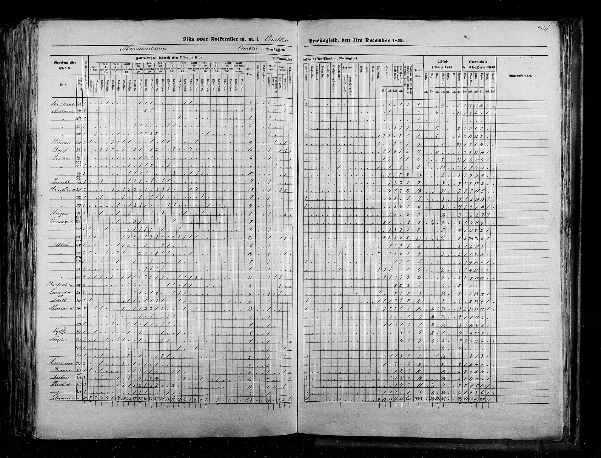 RA, Census 1845, vol. 5: Bratsberg amt og Nedenes og Råbyggelaget amt, 1845, p. 361