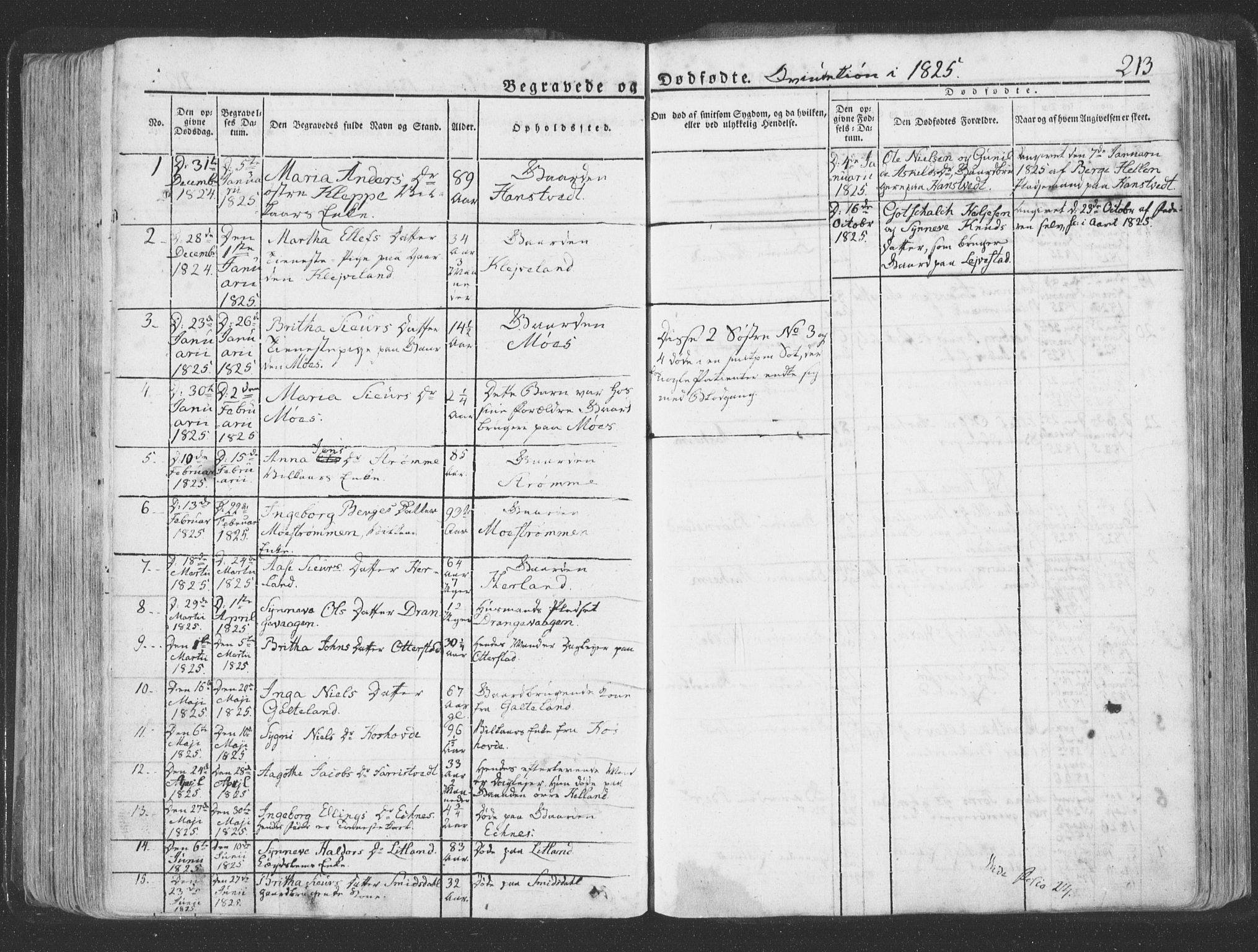 Hosanger sokneprestembete, AV/SAB-A-75801/H/Haa: Parish register (official) no. A 6, 1824-1835, p. 213