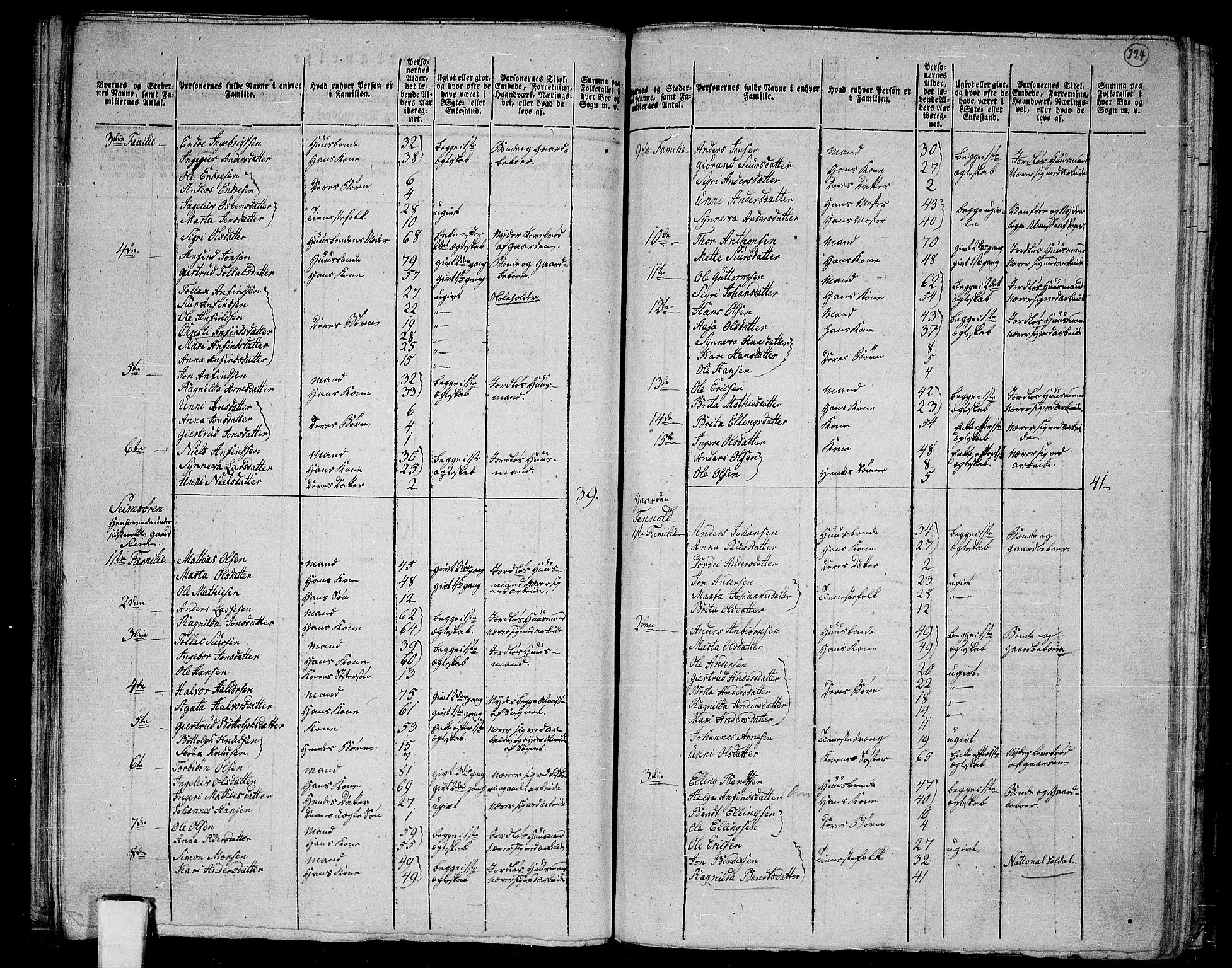RA, 1801 census for 1417P Vik, 1801, p. 223b-224a