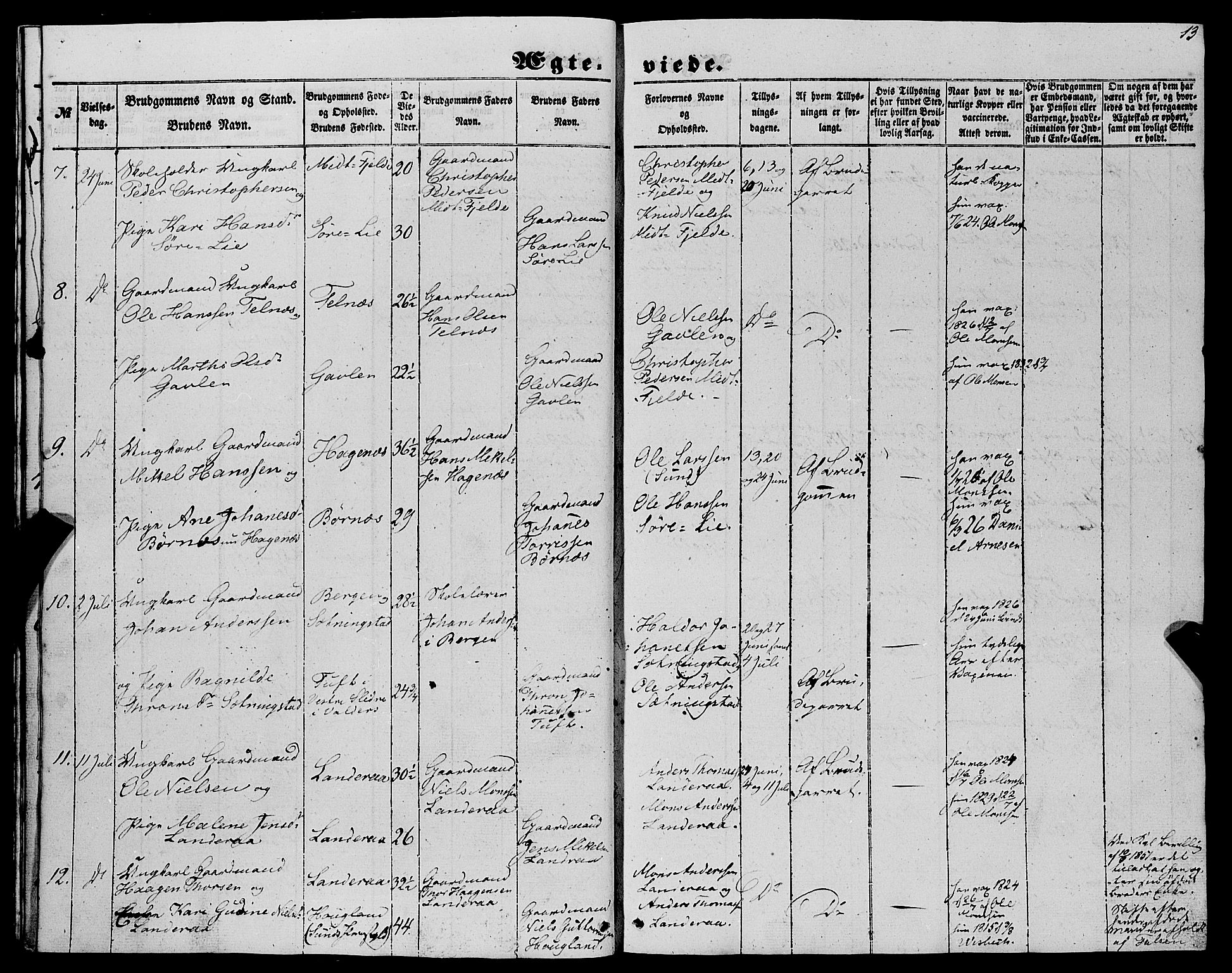 Fjell sokneprestembete, AV/SAB-A-75301/H/Haa: Parish register (official) no. A 6, 1849-1877, p. 13