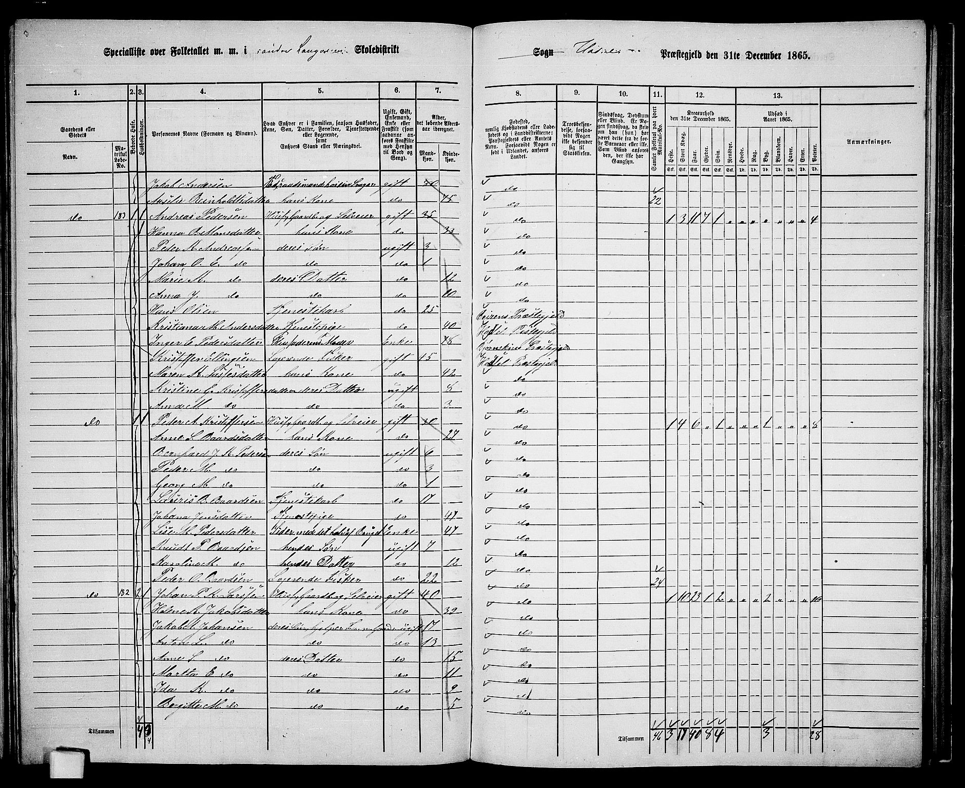 RA, 1865 census for Hadsel, 1865, p. 145