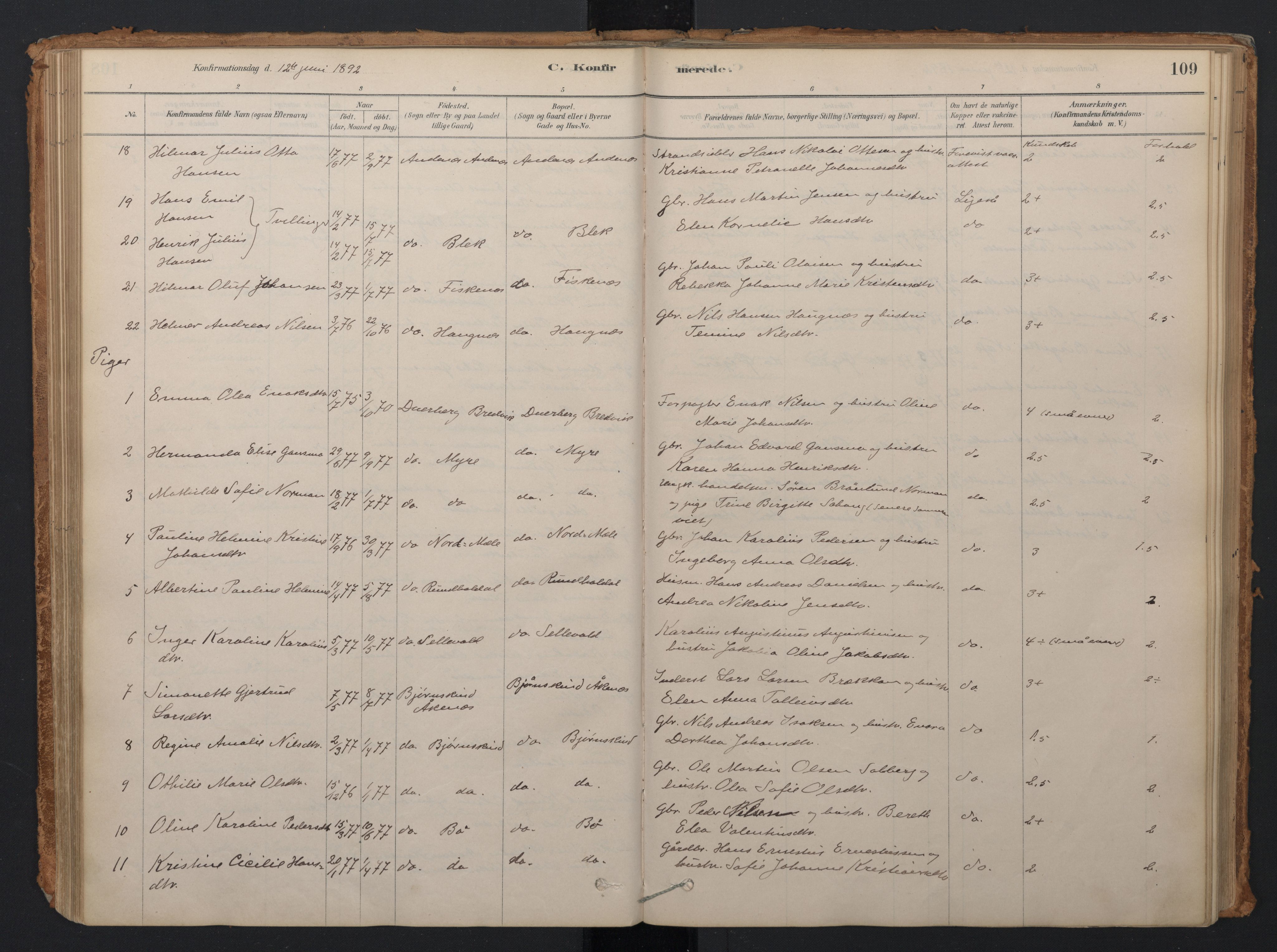 Ministerialprotokoller, klokkerbøker og fødselsregistre - Nordland, AV/SAT-A-1459/897/L1399: Parish register (official) no. 897A06, 1881-1896, p. 109