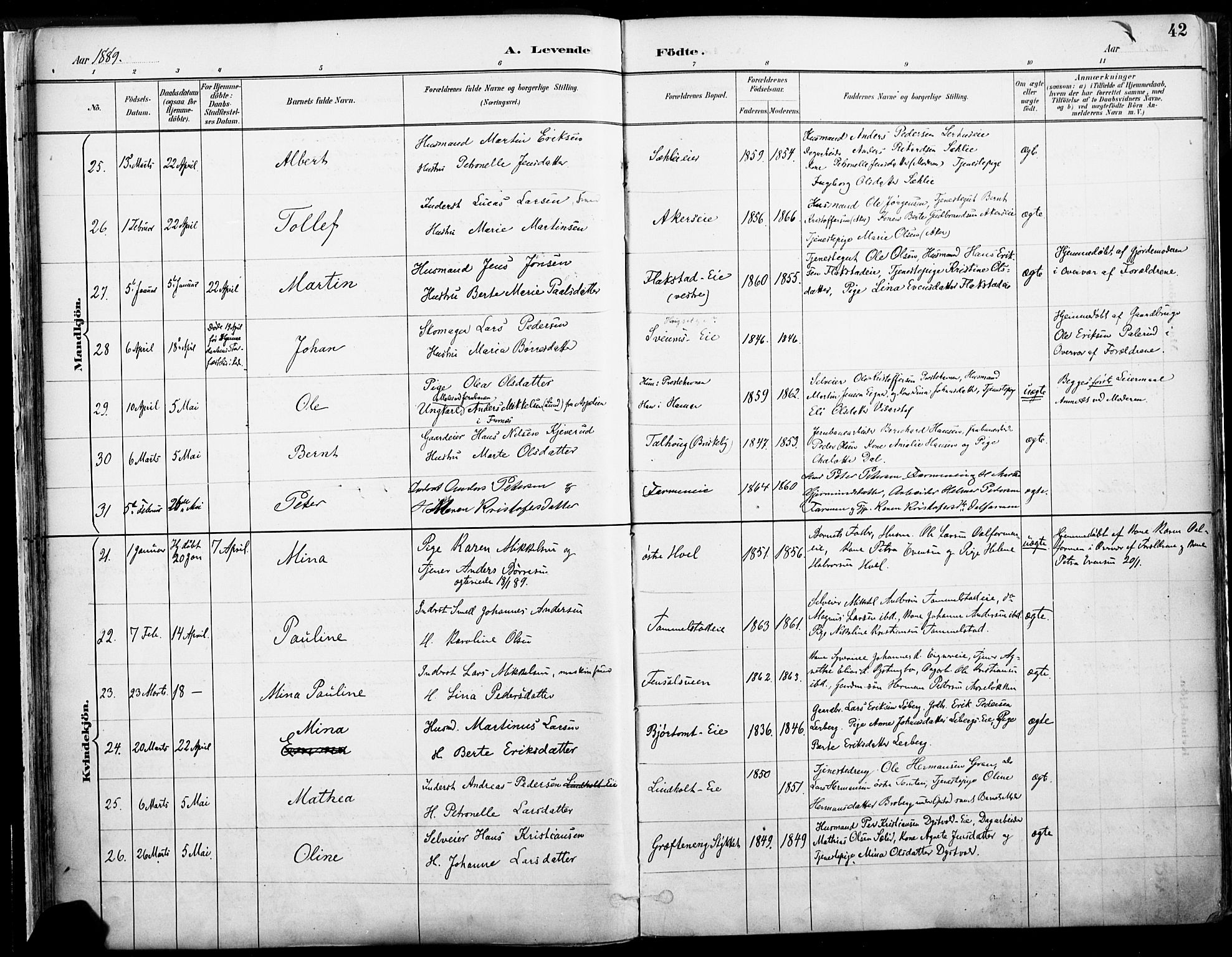 Vang prestekontor, Hedmark, SAH/PREST-008/H/Ha/Haa/L0019A: Parish register (official) no. 19, 1886-1900, p. 42