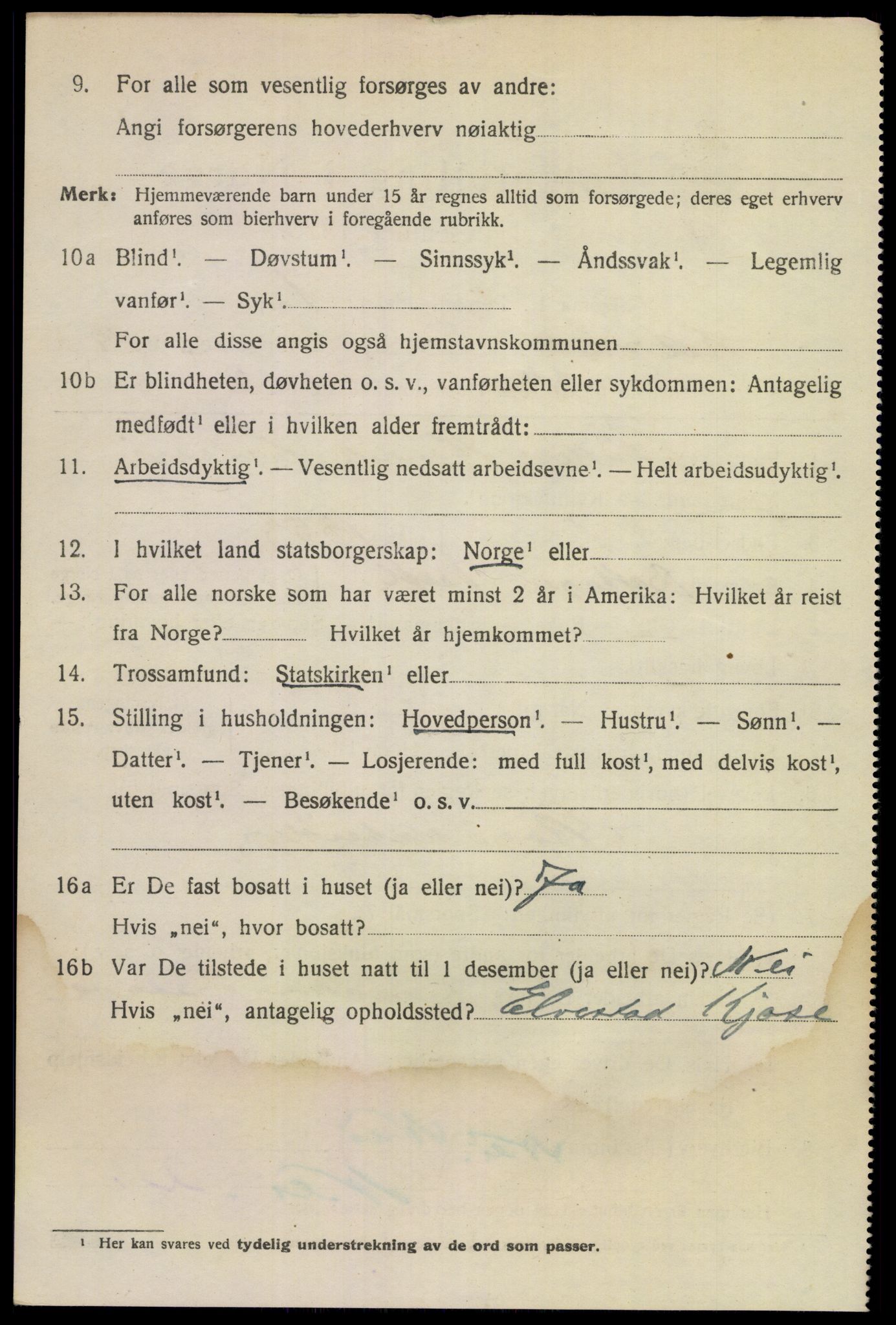 SAKO, 1920 census for Larvik, 1920, p. 31017