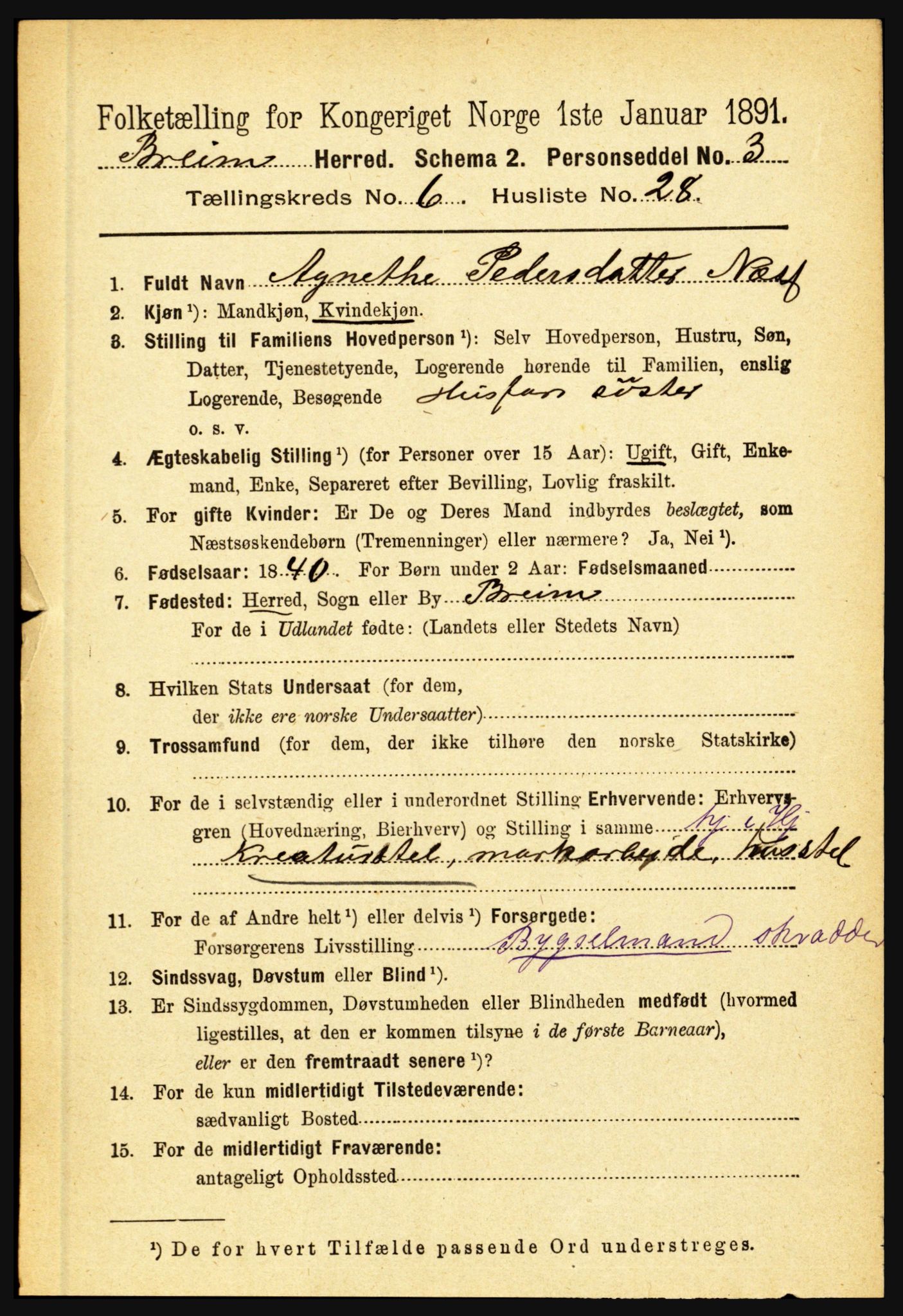 RA, 1891 census for 1446 Breim, 1891, p. 2328