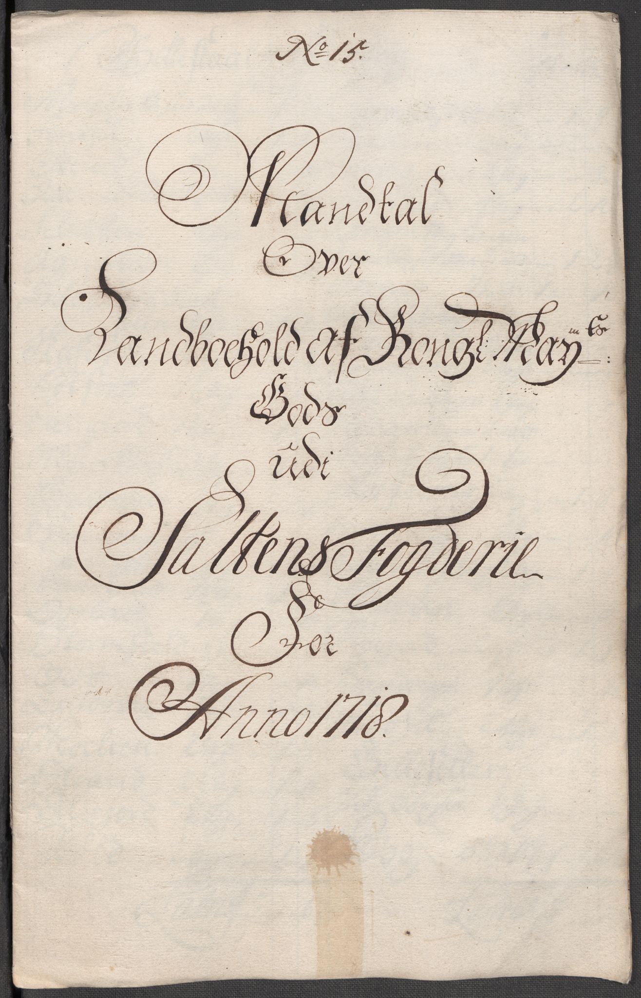 Rentekammeret inntil 1814, Reviderte regnskaper, Fogderegnskap, AV/RA-EA-4092/R66/L4588: Fogderegnskap Salten, 1718, p. 229