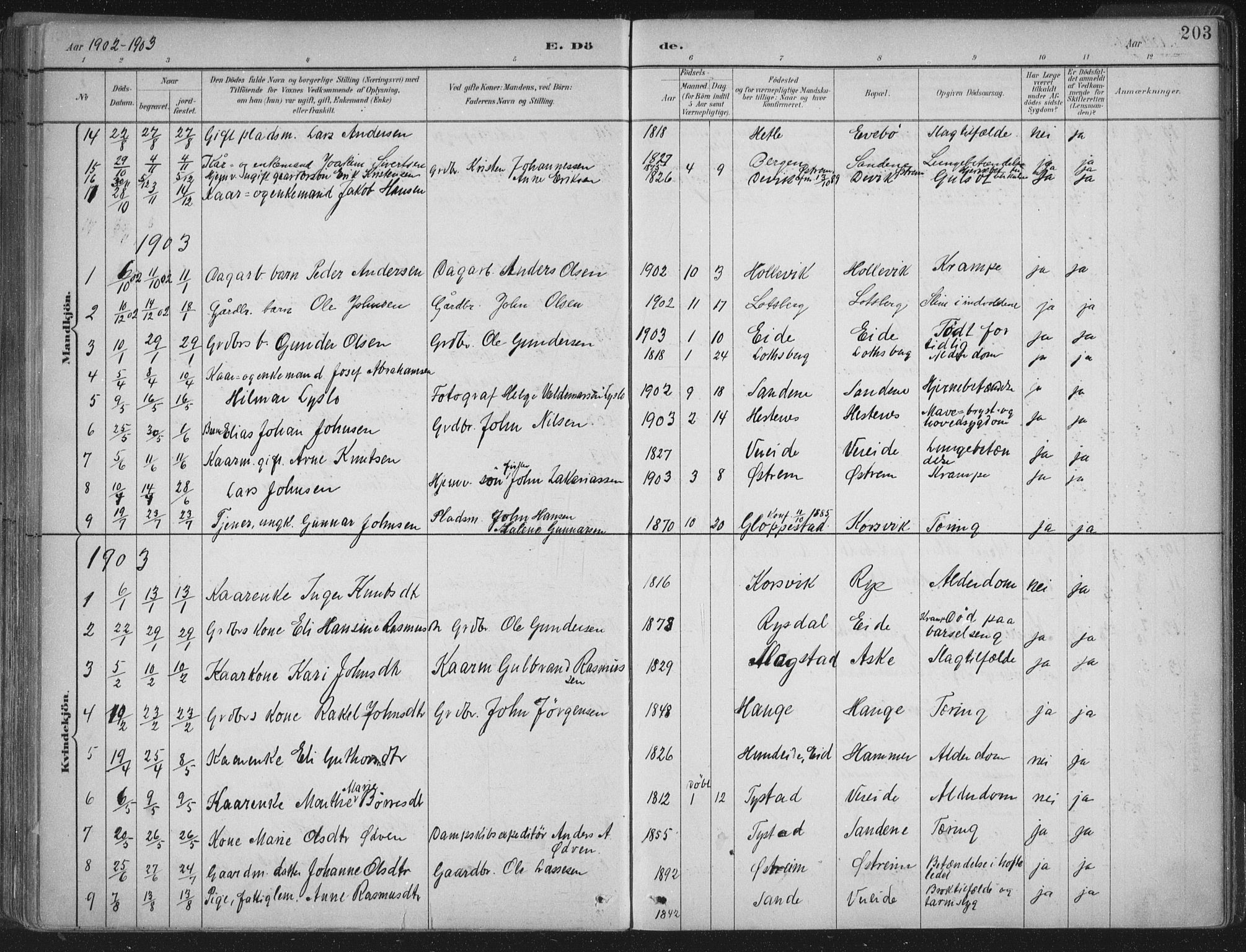 Gloppen sokneprestembete, AV/SAB-A-80101/H/Haa/Haab/L0001: Parish register (official) no. B  1, 1885-1905, p. 203