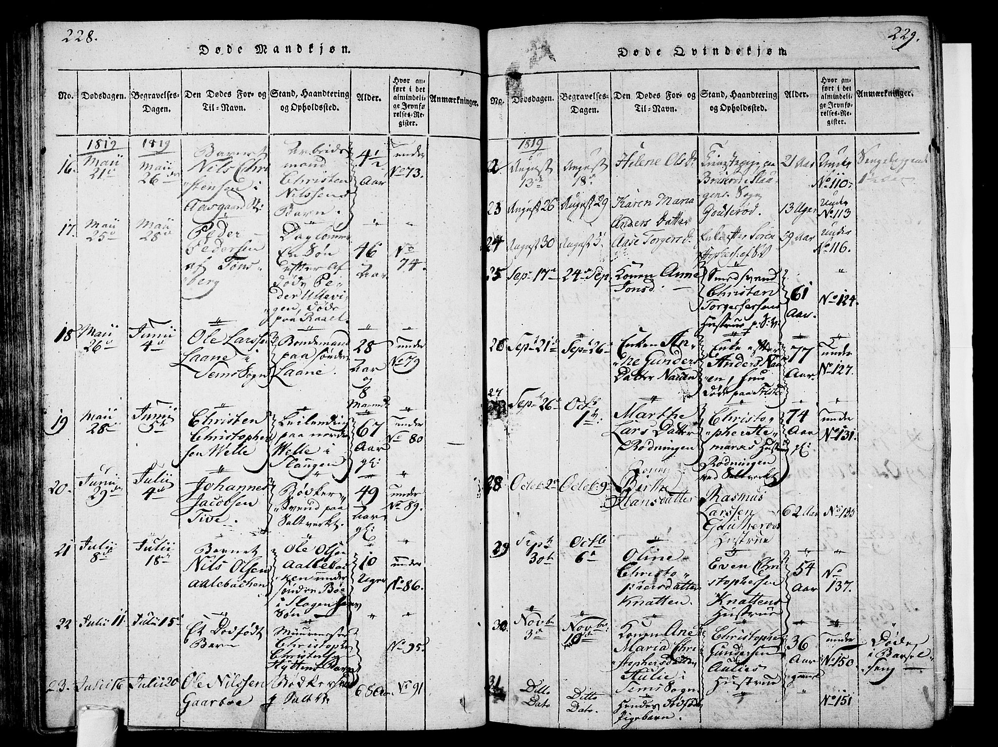 Sem kirkebøker, AV/SAKO-A-5/F/Fa/L0004: Parish register (official) no. I 4, 1814-1825, p. 228-229