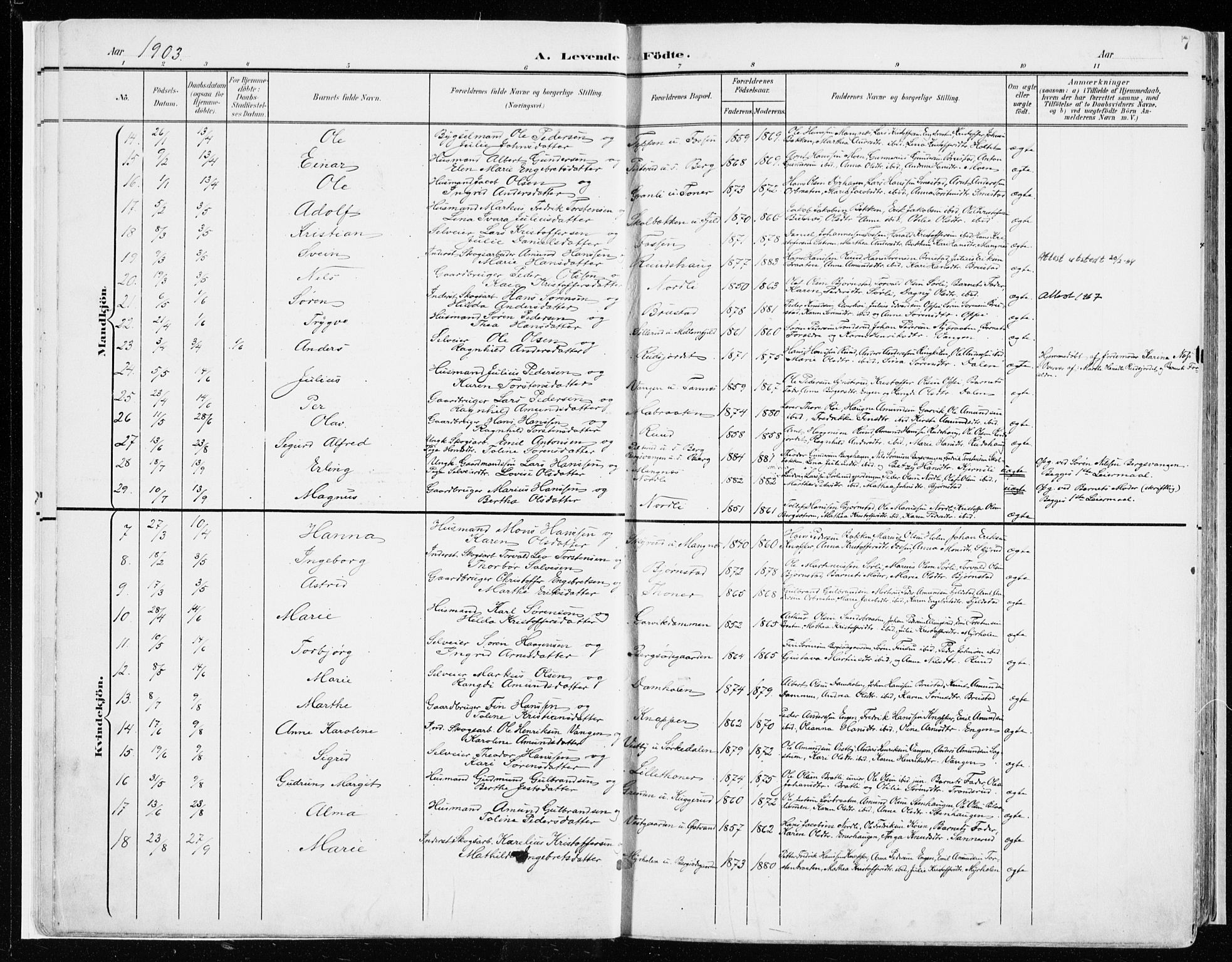 Nord-Odal prestekontor, AV/SAH-PREST-032/H/Ha/Haa/L0009: Parish register (official) no. 9, 1902-1926, p. 7