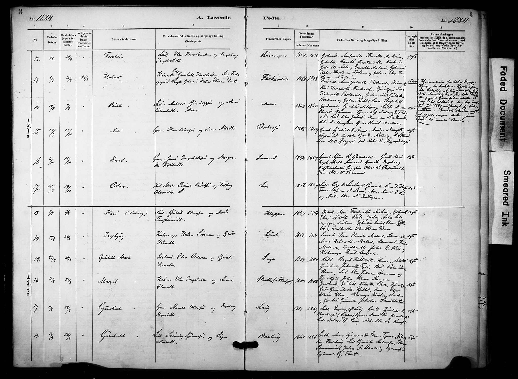 Lunde kirkebøker, AV/SAKO-A-282/F/Fa/L0002: Parish register (official) no. I 2, 1884-1892, p. 3