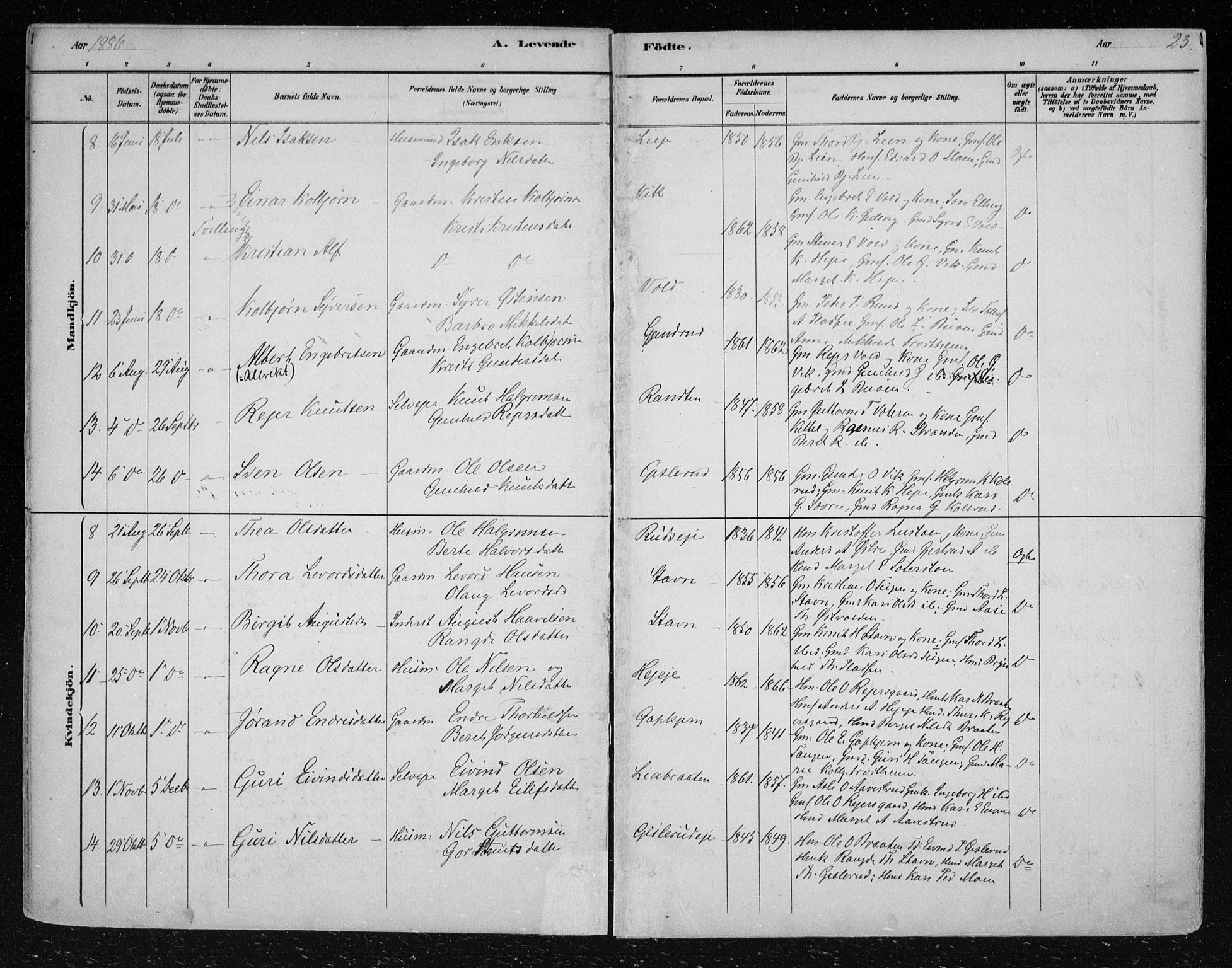 Nes kirkebøker, SAKO/A-236/F/Fa/L0012: Parish register (official) no. 12, 1881-1917, p. 23