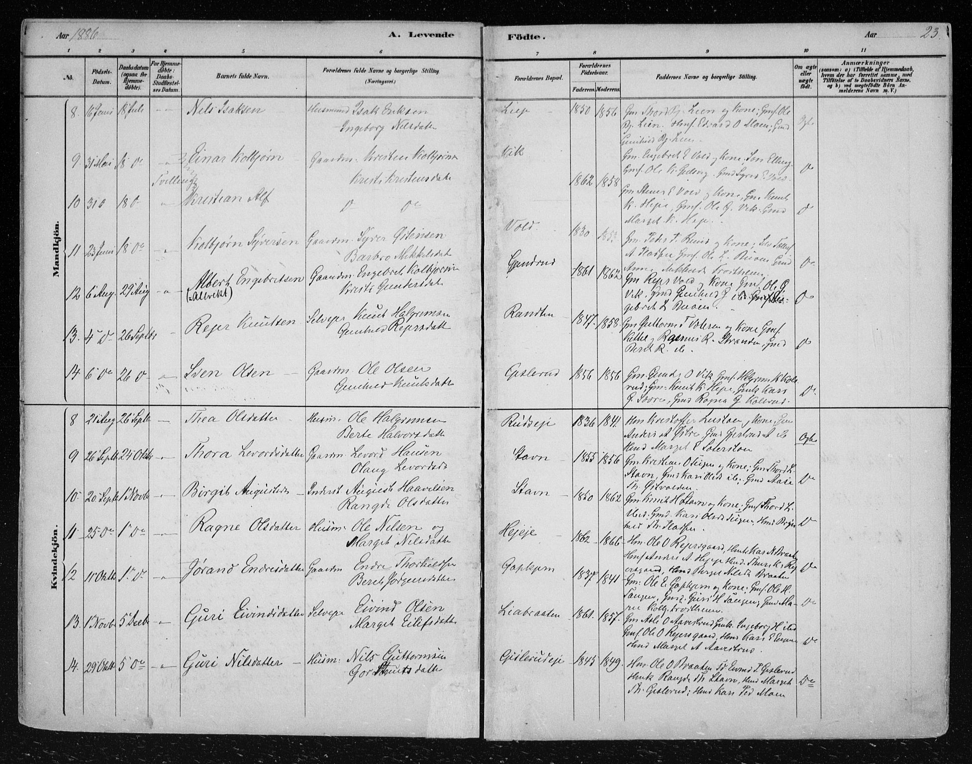 Nes kirkebøker, AV/SAKO-A-236/F/Fa/L0012: Parish register (official) no. 12, 1881-1917, p. 23