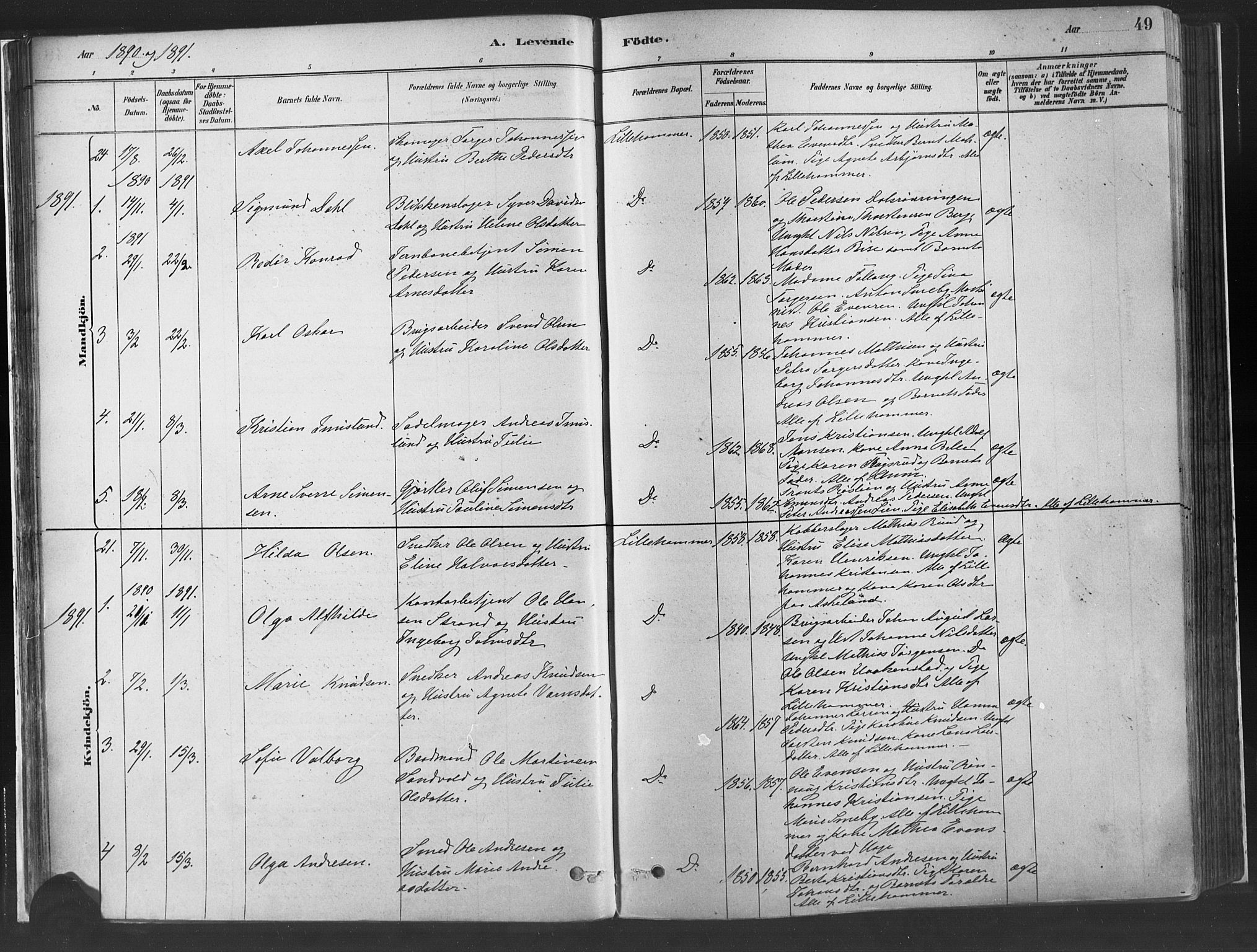 Fåberg prestekontor, AV/SAH-PREST-086/H/Ha/Haa/L0010: Parish register (official) no. 10, 1879-1900, p. 49