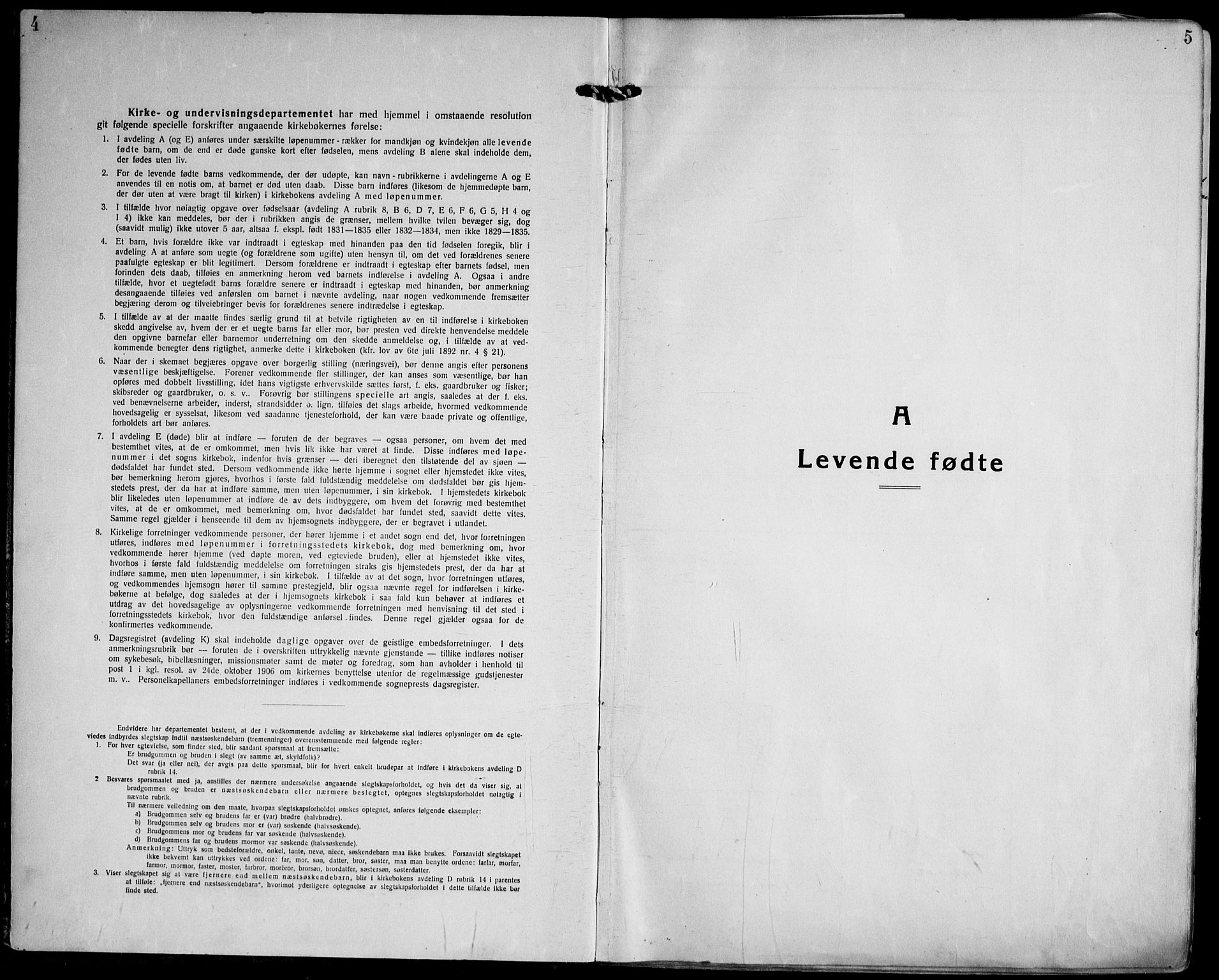Strømsgodset kirkebøker, AV/SAKO-A-324/F/Fa/L0003: Parish register (official) no. 3, 1920-1936, p. 4-5