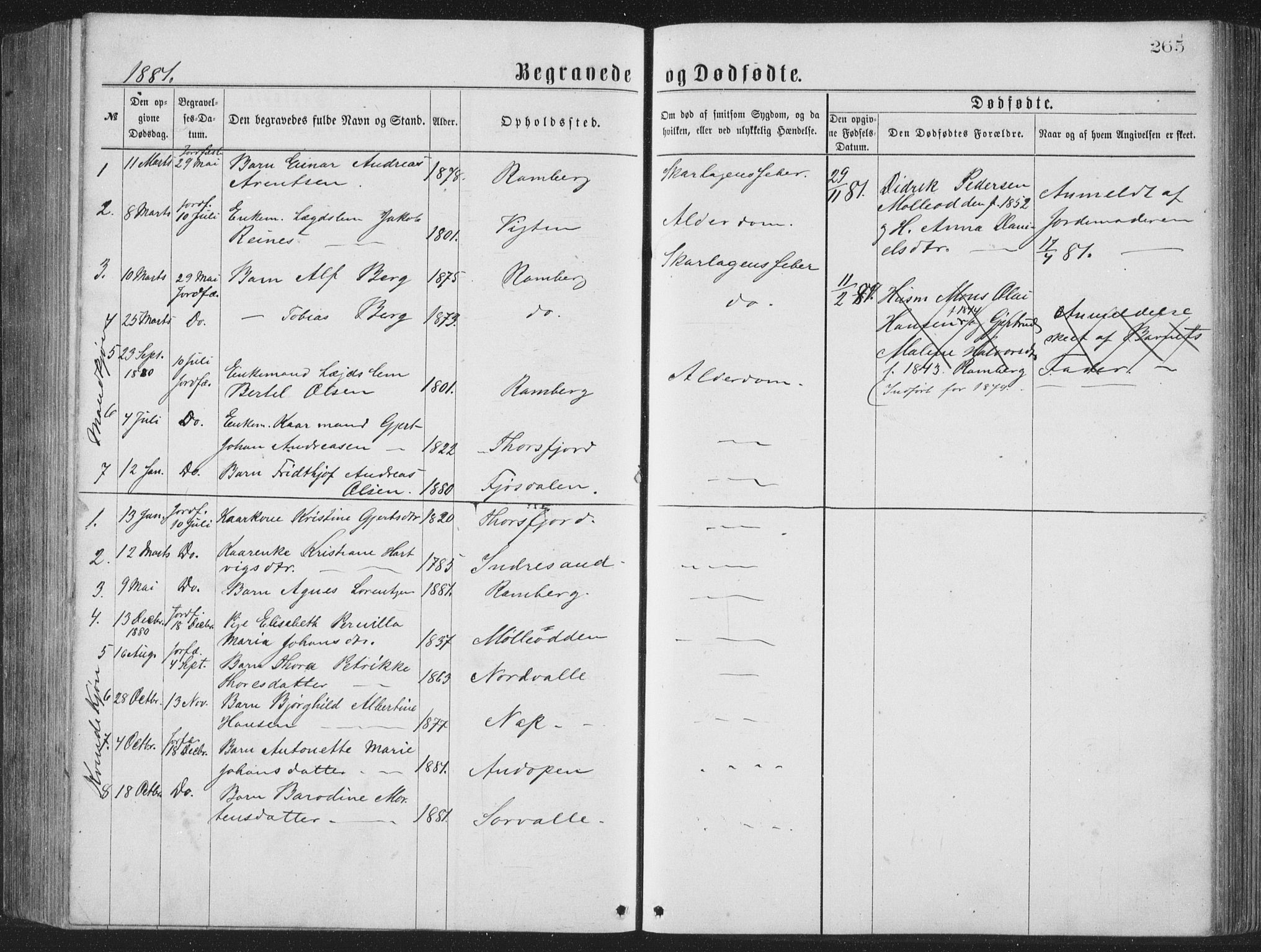 Ministerialprotokoller, klokkerbøker og fødselsregistre - Nordland, AV/SAT-A-1459/885/L1213: Parish register (copy) no. 885C02, 1874-1892, p. 265