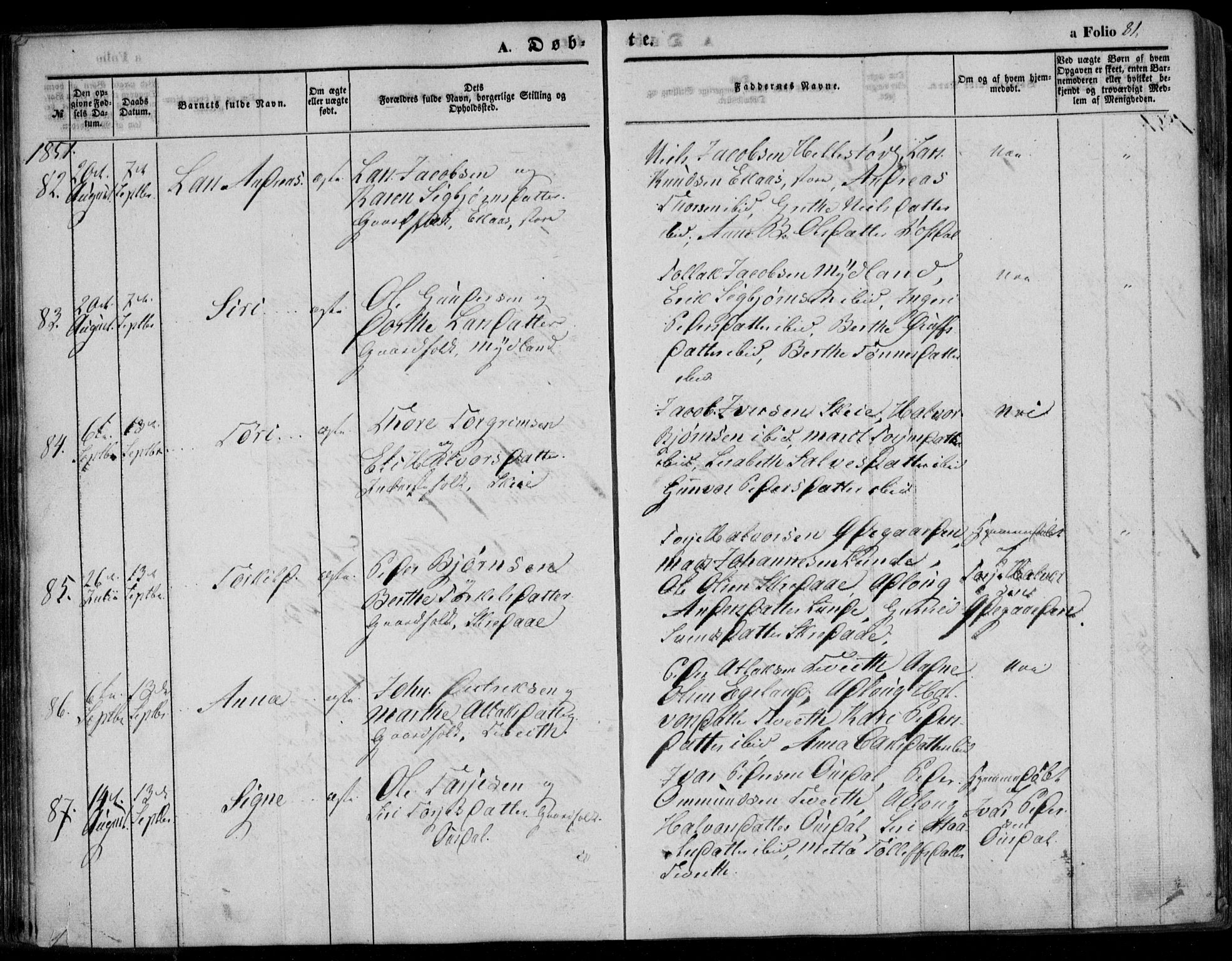 Bakke sokneprestkontor, AV/SAK-1111-0002/F/Fa/Faa/L0005: Parish register (official) no. A 5, 1847-1855, p. 81