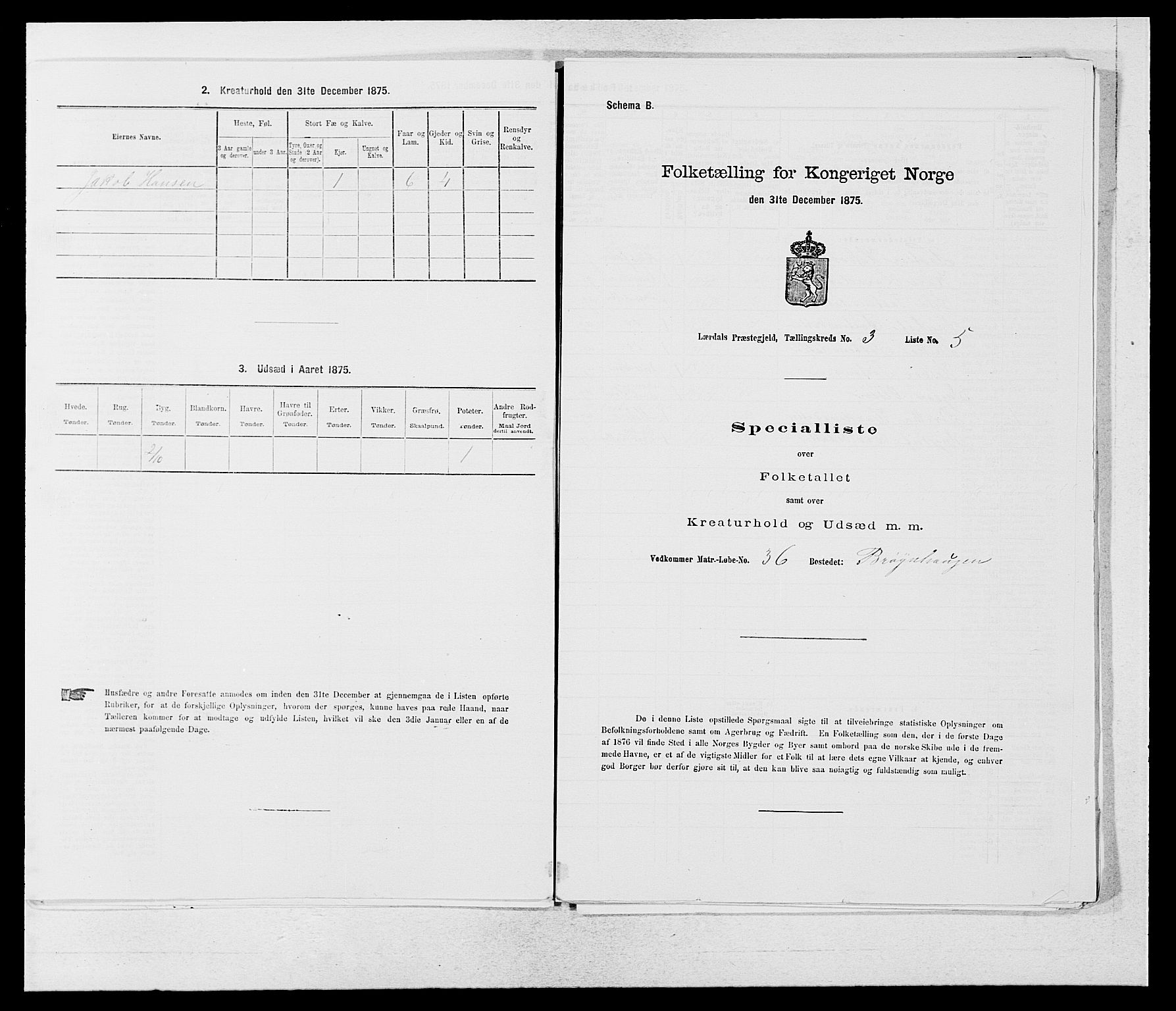 SAB, 1875 census for 1422P Lærdal, 1875, p. 1073