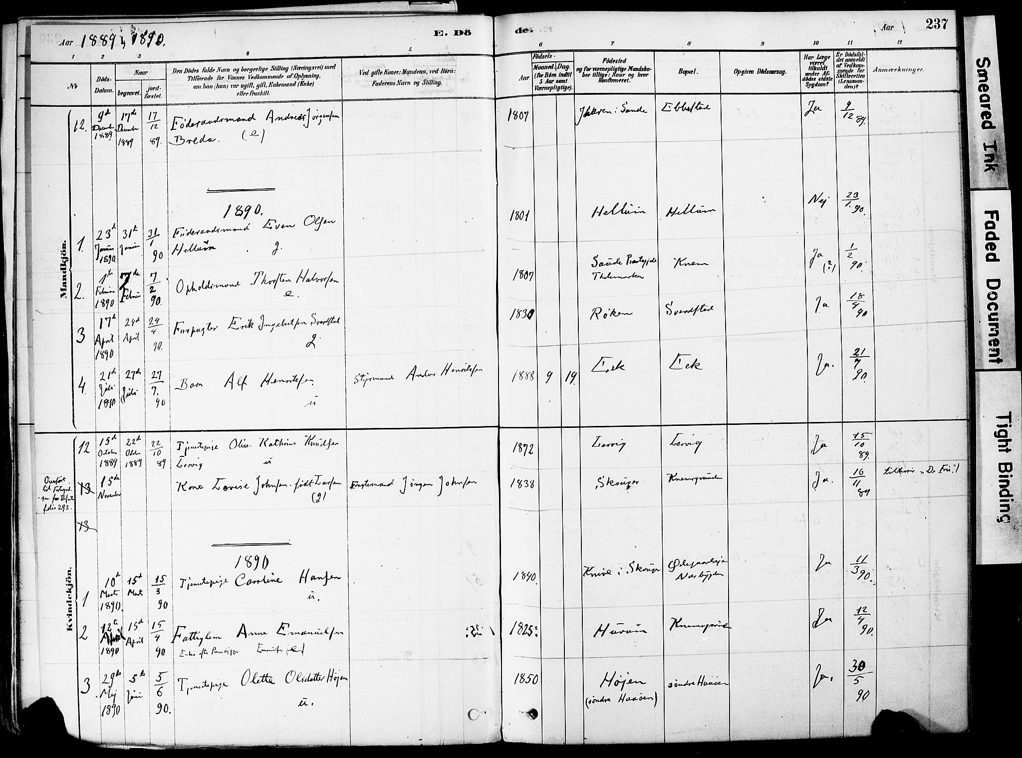 Strømm kirkebøker, AV/SAKO-A-322/F/Fa/L0004: Parish register (official) no. I 4, 1878-1899, p. 237