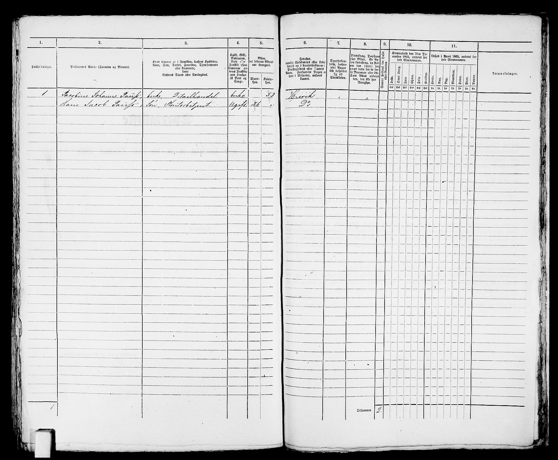 RA, 1865 census for Larvik, 1865, p. 625