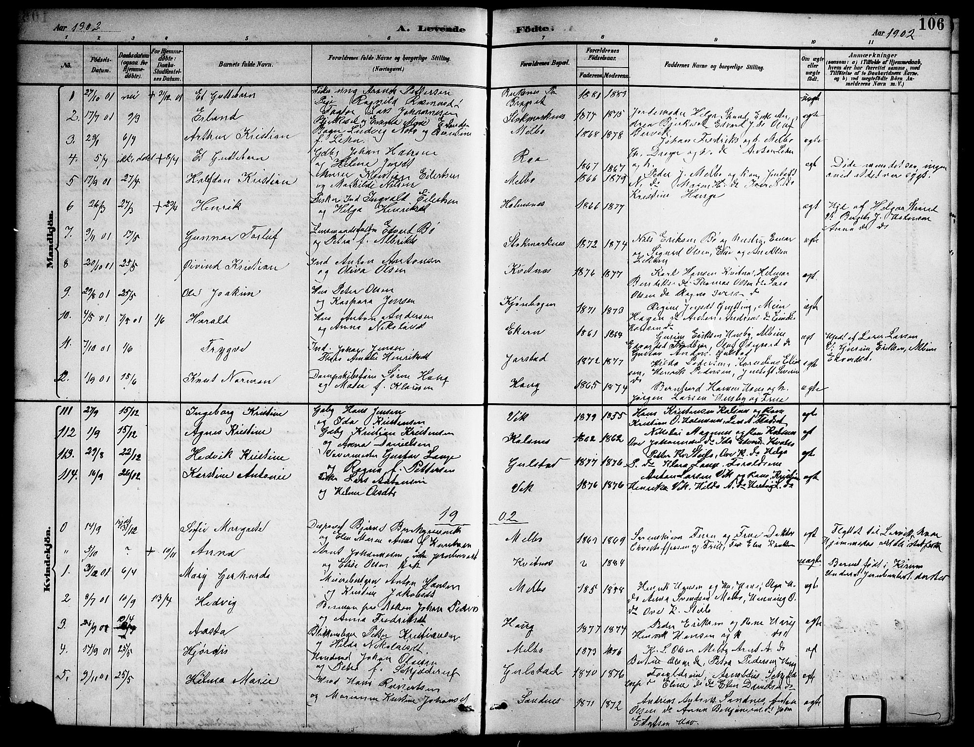 Ministerialprotokoller, klokkerbøker og fødselsregistre - Nordland, AV/SAT-A-1459/888/L1268: Parish register (copy) no. 888C06, 1891-1908, p. 106
